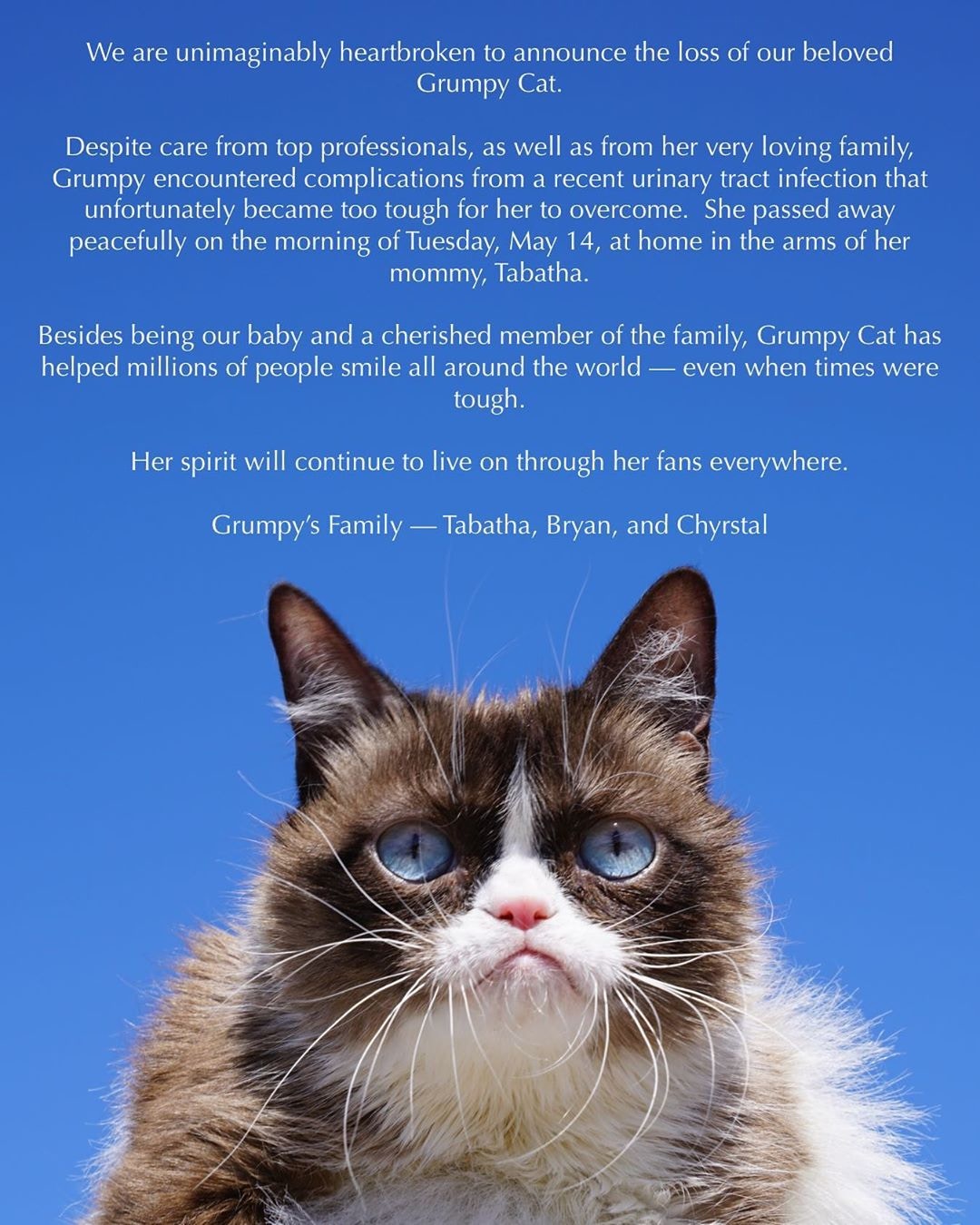 不爽貓的官方Twitter，發布了貓咪的死訊。（twitter@RealGrumpyCat）