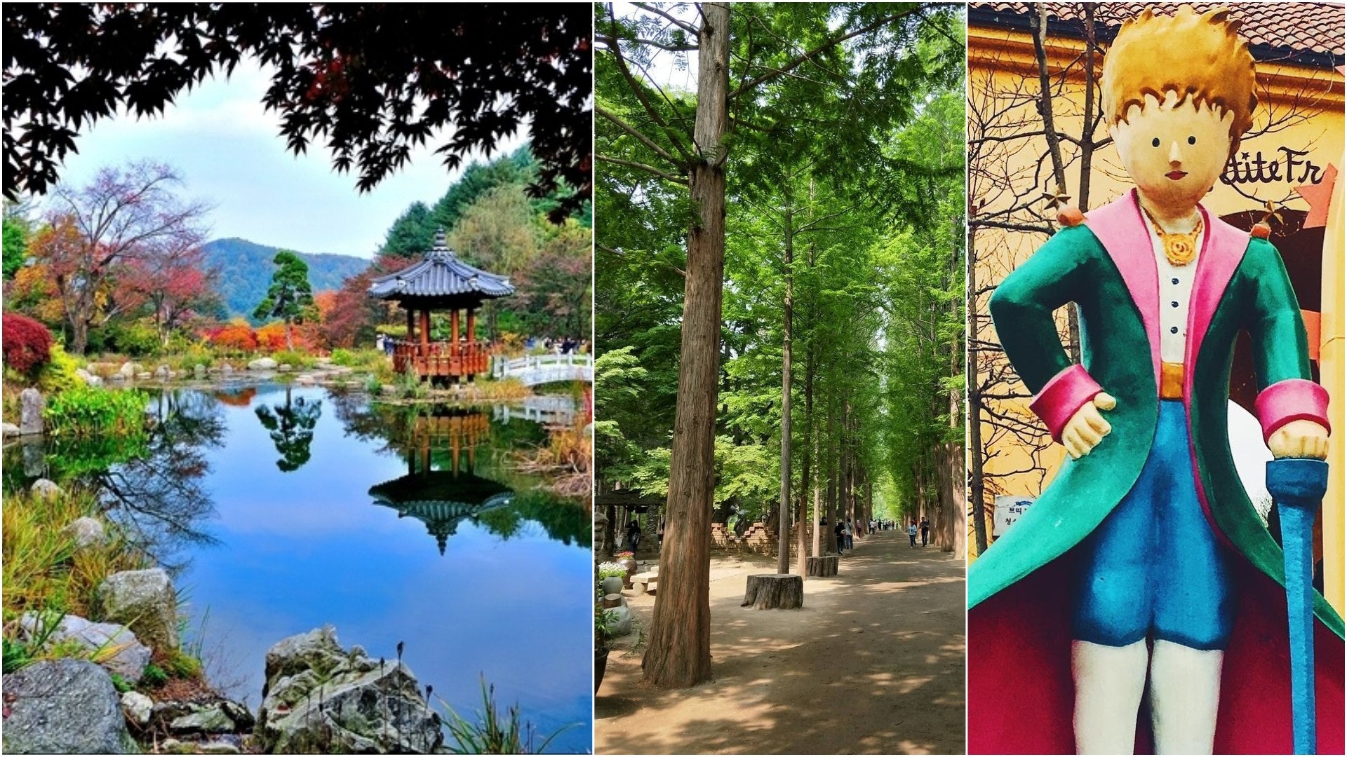 【韓國旅遊】首爾近郊景點集合!靚景首選小法國村、晨靜樹木園 【韓國旅遊】首爾近郊景點集合!靚景首選小法國村、晨靜樹木園