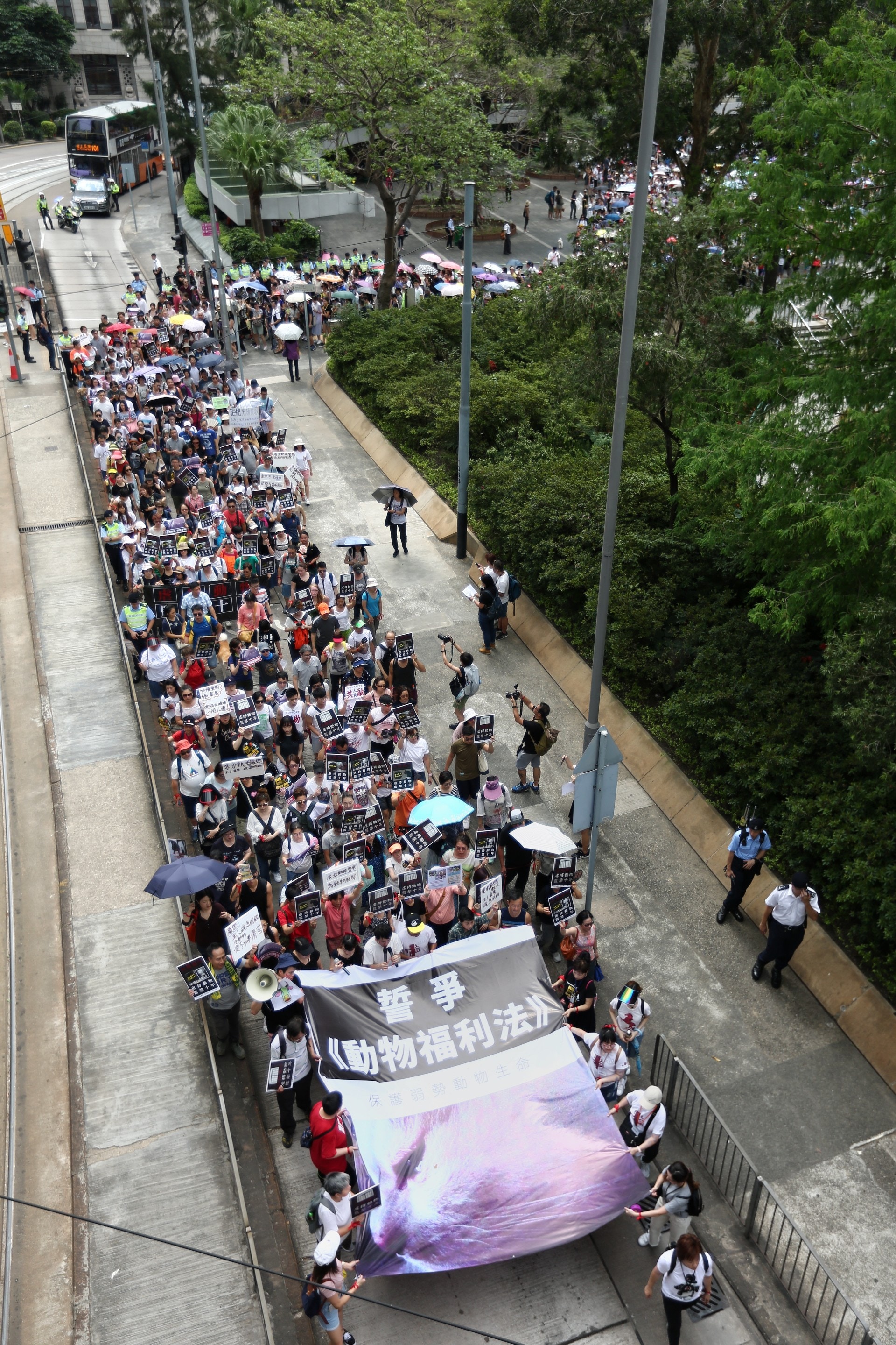 6000人遊行,促政府盡快制定《動物福利法》。 (羅君豪攝) 6000人遊行,促政府盡快制定《動物福利法》。 (羅君豪攝)