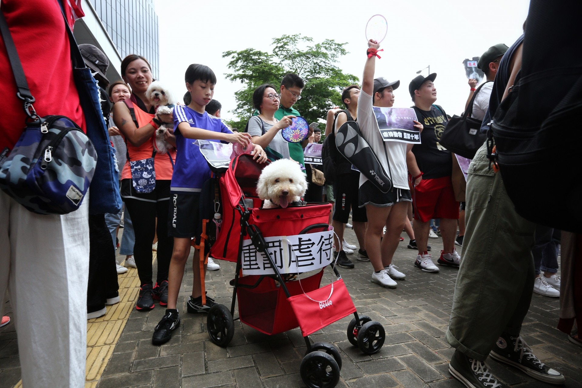 不少市民帶同寵物一同遊行。 不少市民帶同寵物一同遊行。