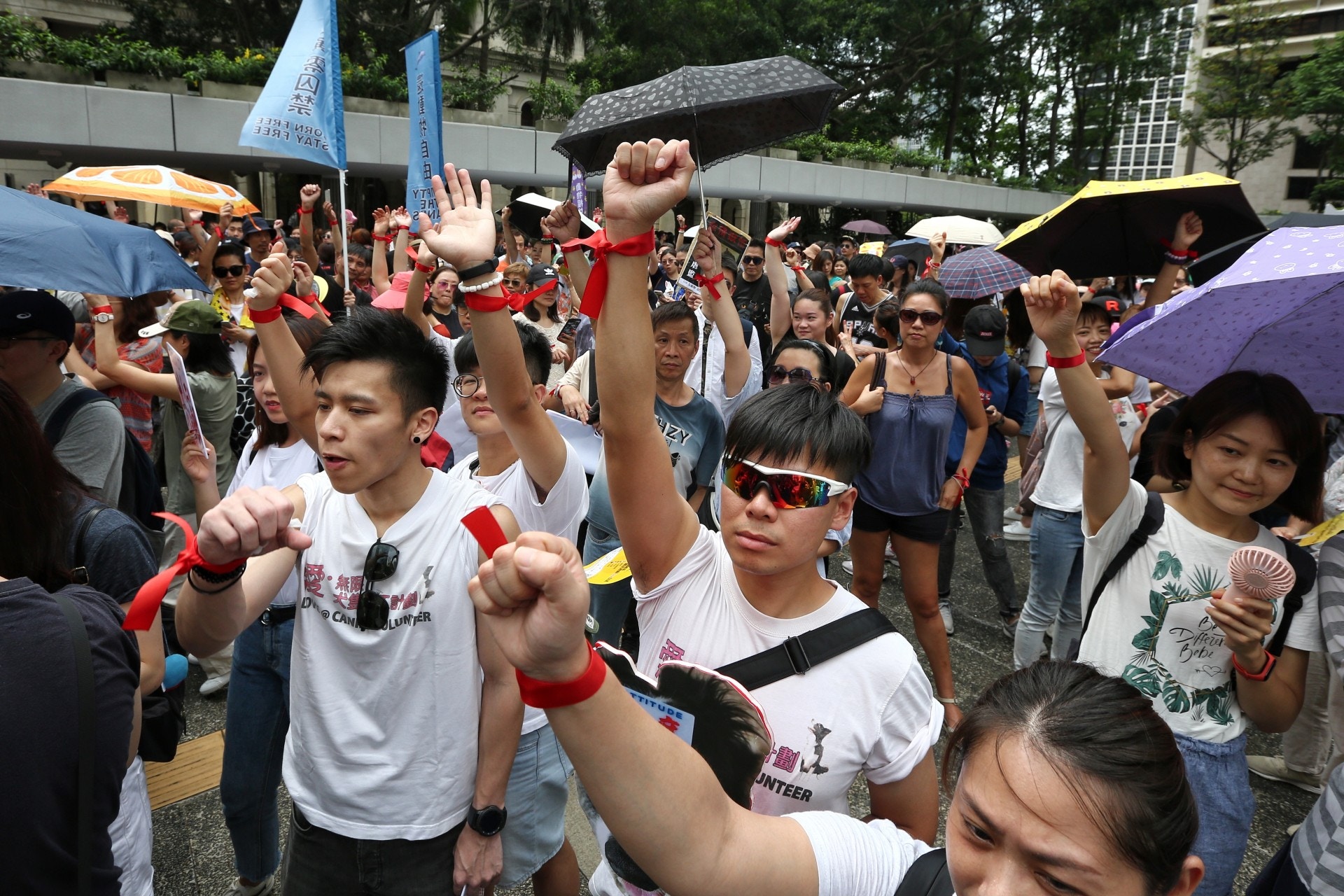 6000人遊行,促政府盡快制定《動物福利法》。(羅君豪攝) 6000人遊行,促政府盡快制定《動物福利法》。(羅君豪攝)