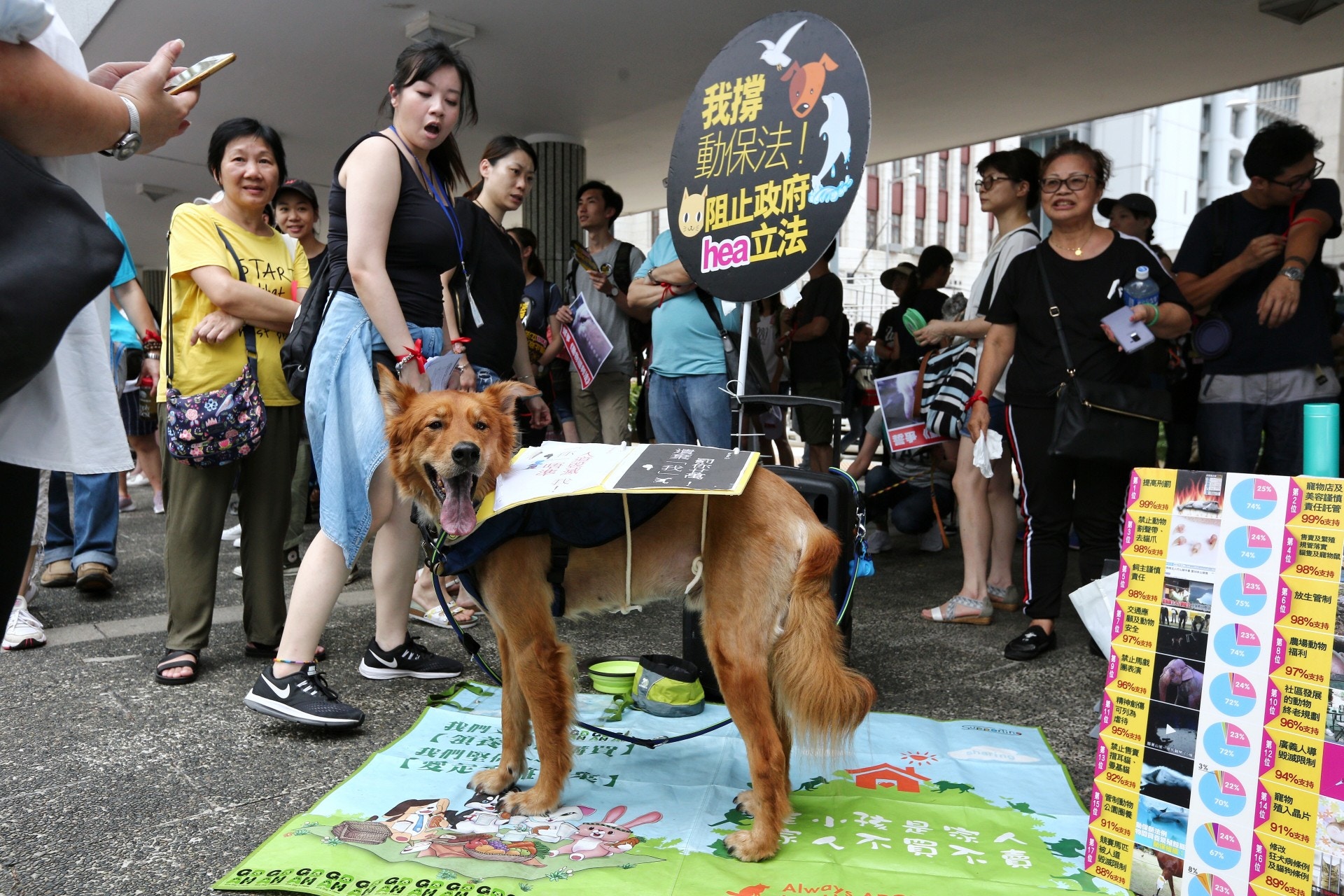 不少市民帶同寵物一同遊行。(羅君豪攝) 不少市民帶同寵物一同遊行。(羅君豪攝)