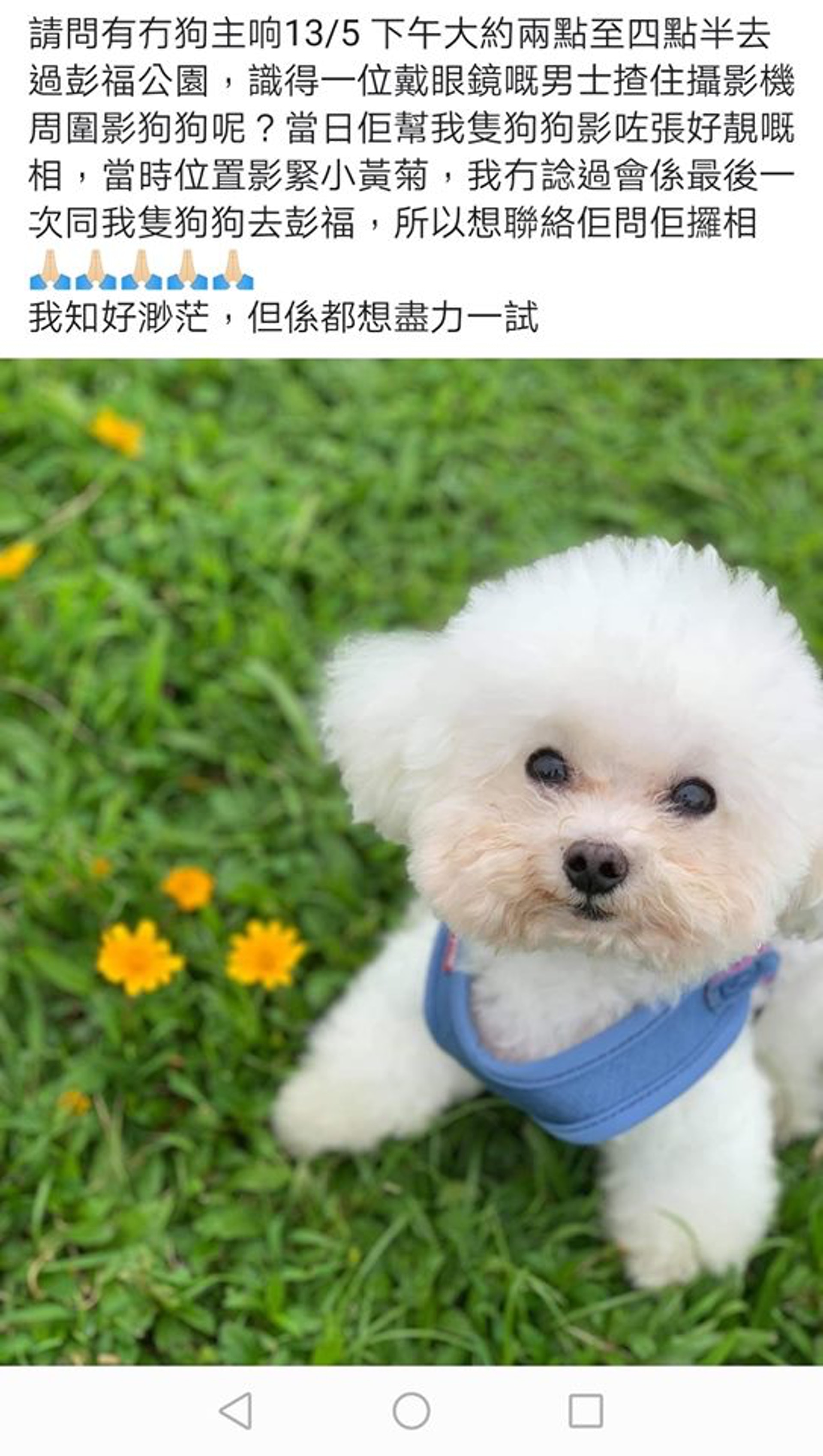 Uni離世後,吳小姐在網上發文尋人。(受訪者提供) Uni離世後,吳小姐在網上發文尋人。(受訪者提供)