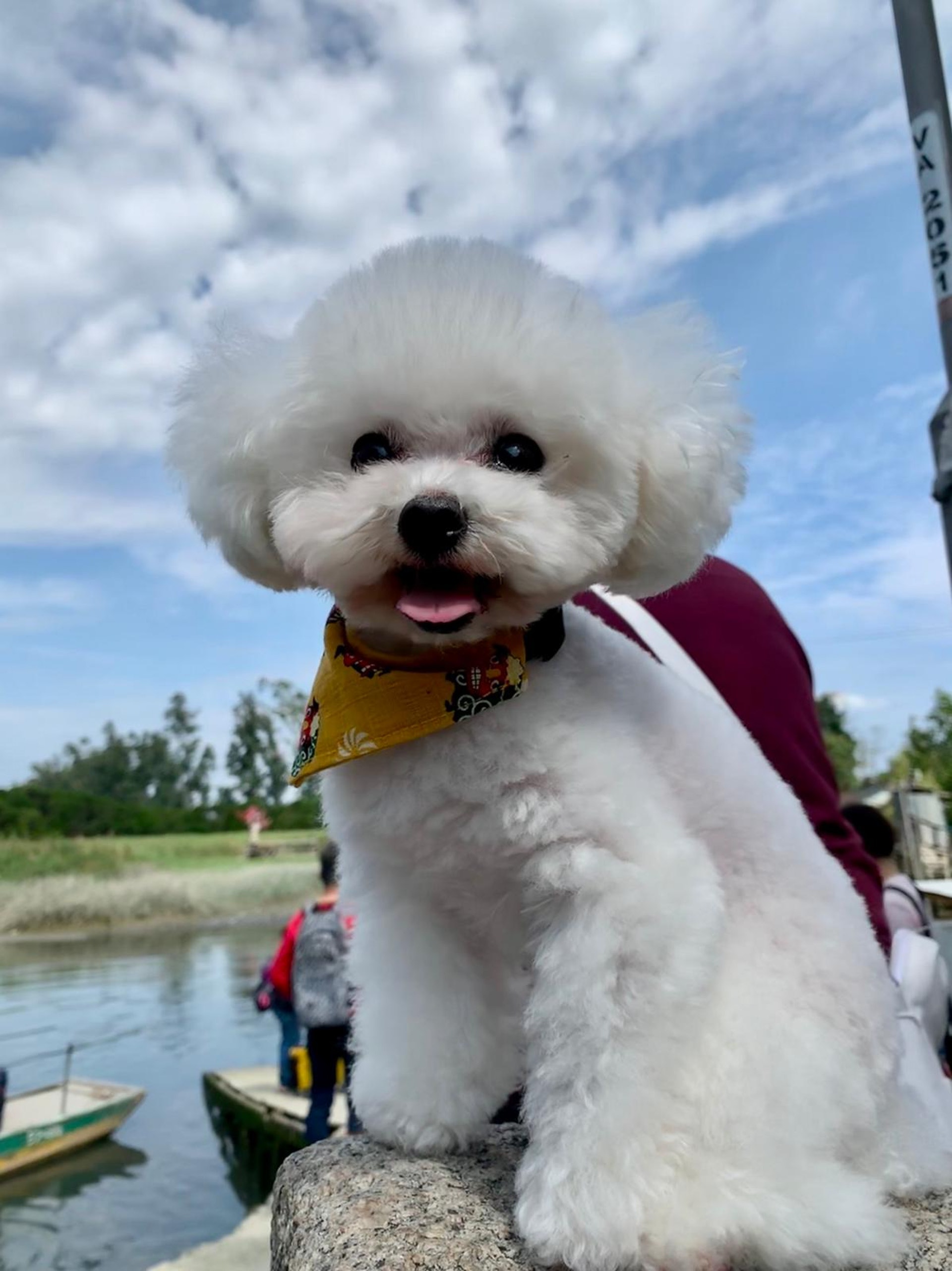 吳小姐也為牠拍下不少可愛照片作紀念。(受訪者提供) 吳小姐也為牠拍下不少可愛照片作紀念。(受訪者提供)