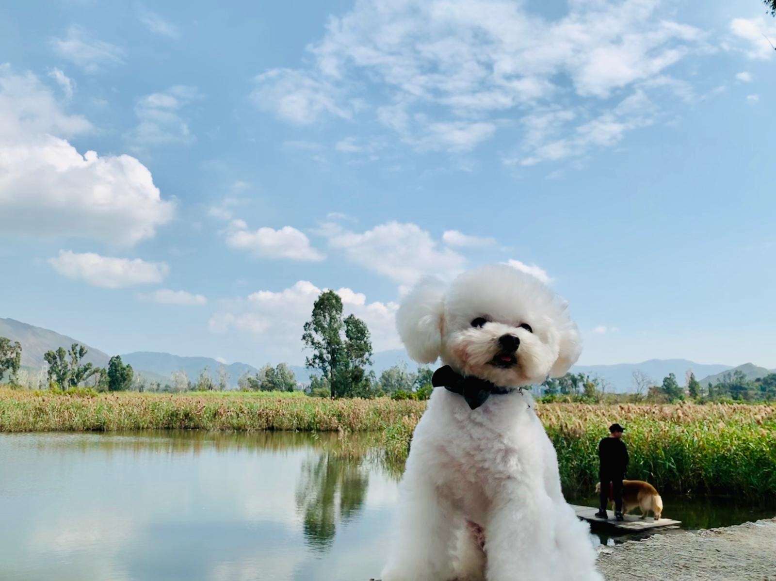 吳小姐時常帶Uni外出遊玩,看盡美景。(受訪者提供) 吳小姐時常帶Uni外出遊玩,看盡美景。(受訪者提供)