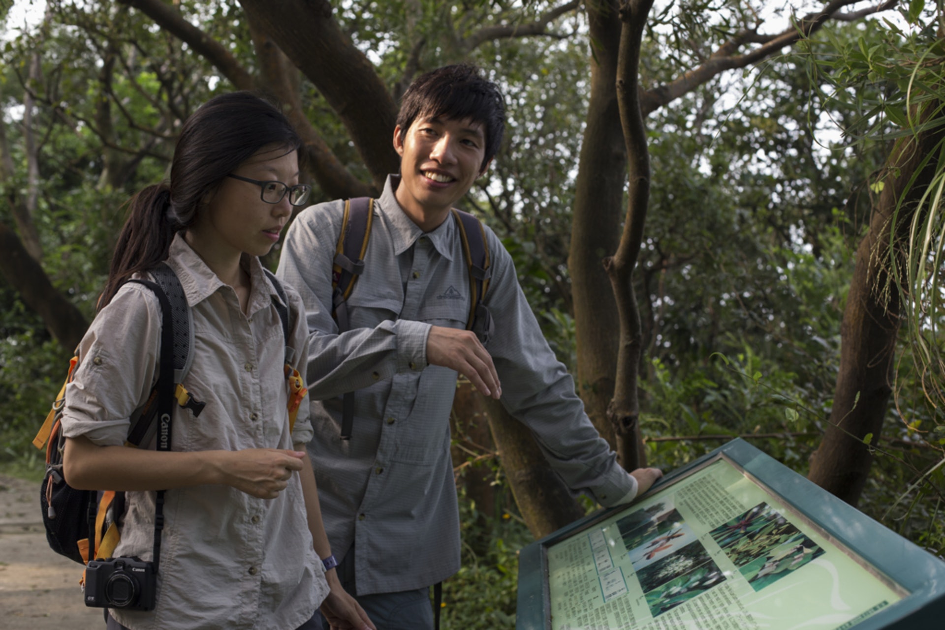 香港龍虎山郊野公園,擁有香港典型的灌木林形態。(吳鍾坤攝) 香港龍虎山郊野公園,擁有香港典型的灌木林形態。(吳鍾坤攝)
