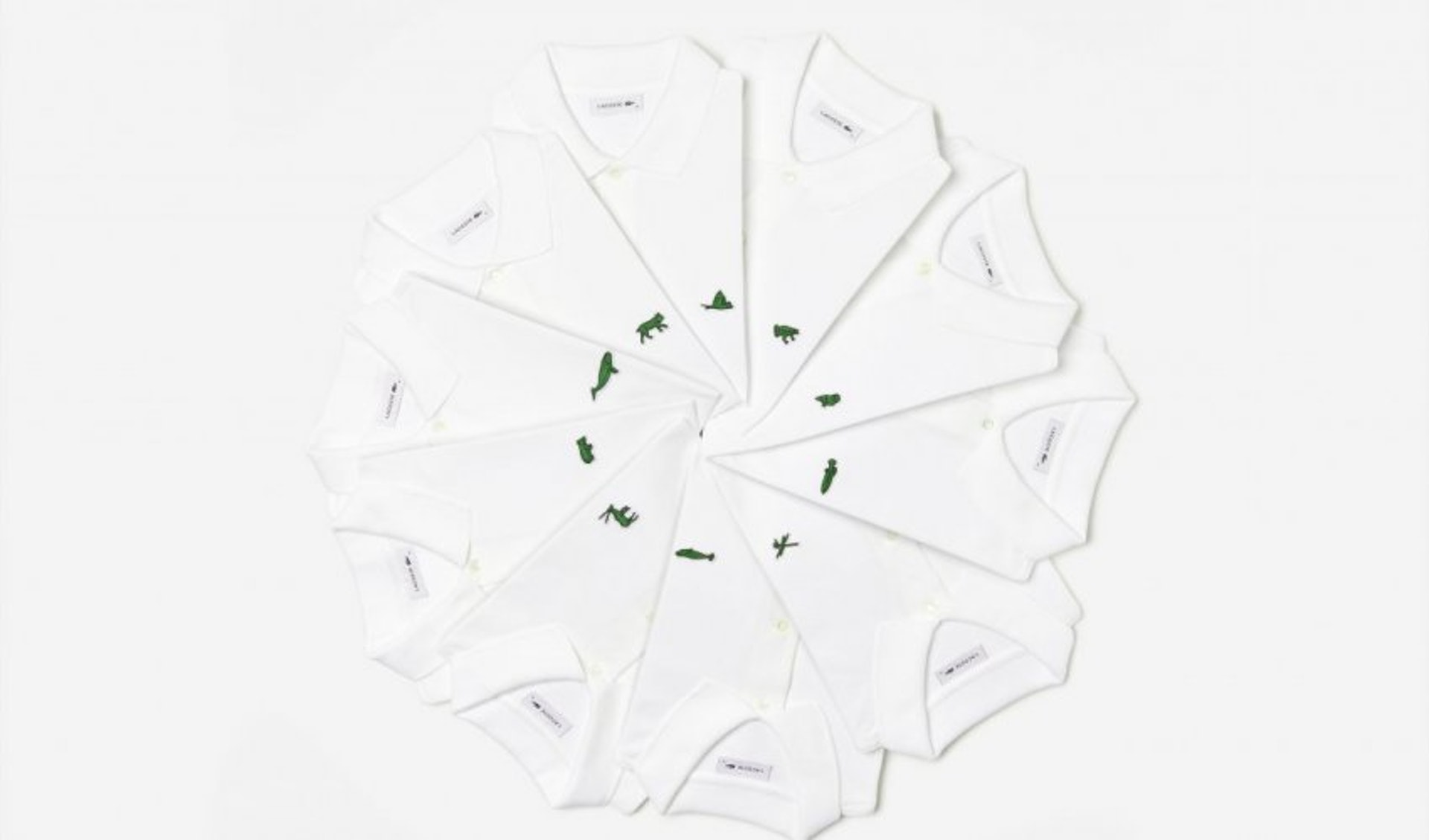 「Lacoste x Save Our Species」系列(Lacoste) 「Lacoste x Save Our Species」系列(Lacoste)