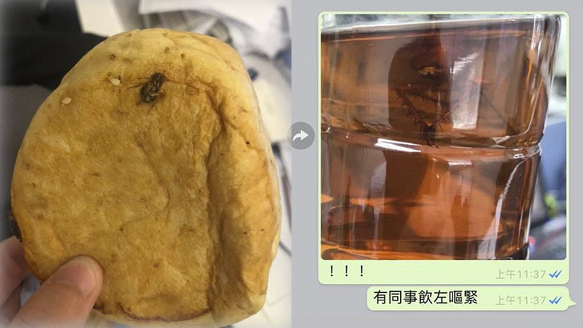 叫外賣涼茶驚見曱甴標本 嚇傻要食抗生素 網民:出街食要睇真啲 叫外賣涼茶驚見曱甴標本 嚇傻要食抗生素 網民:出街食要睇真啲