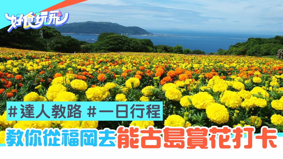 日本福岡景點 北九州能古島賞花由博多出發怎麼去 日本福岡景點 北九州能古島賞花由博多出發怎麼去
