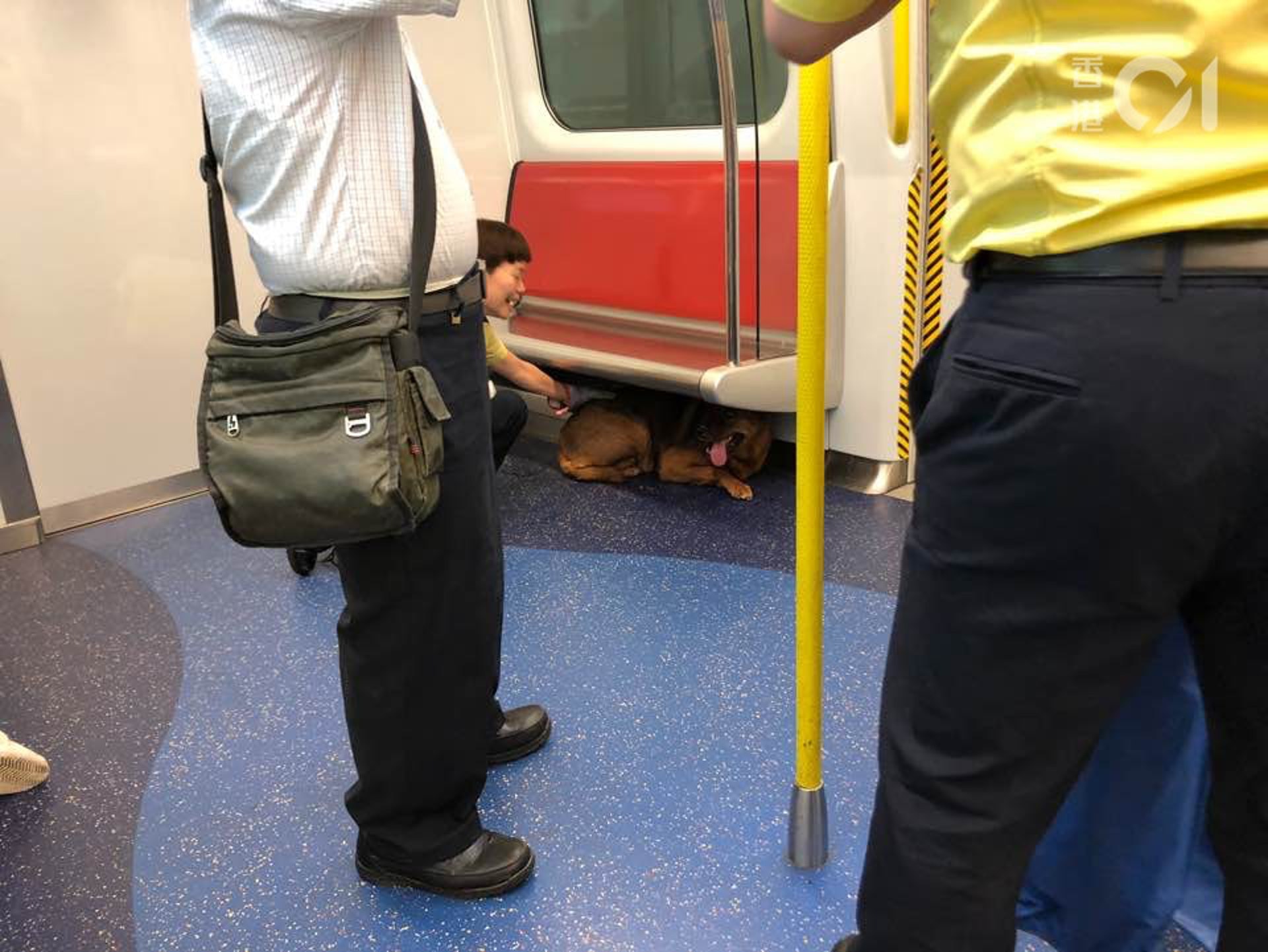 《香港01》記者早前乘搭西鐵綫列車，由荃灣西上車時，發現一隻狗在最後一列車卡安坐。（資料圖片/林景輝攝）
