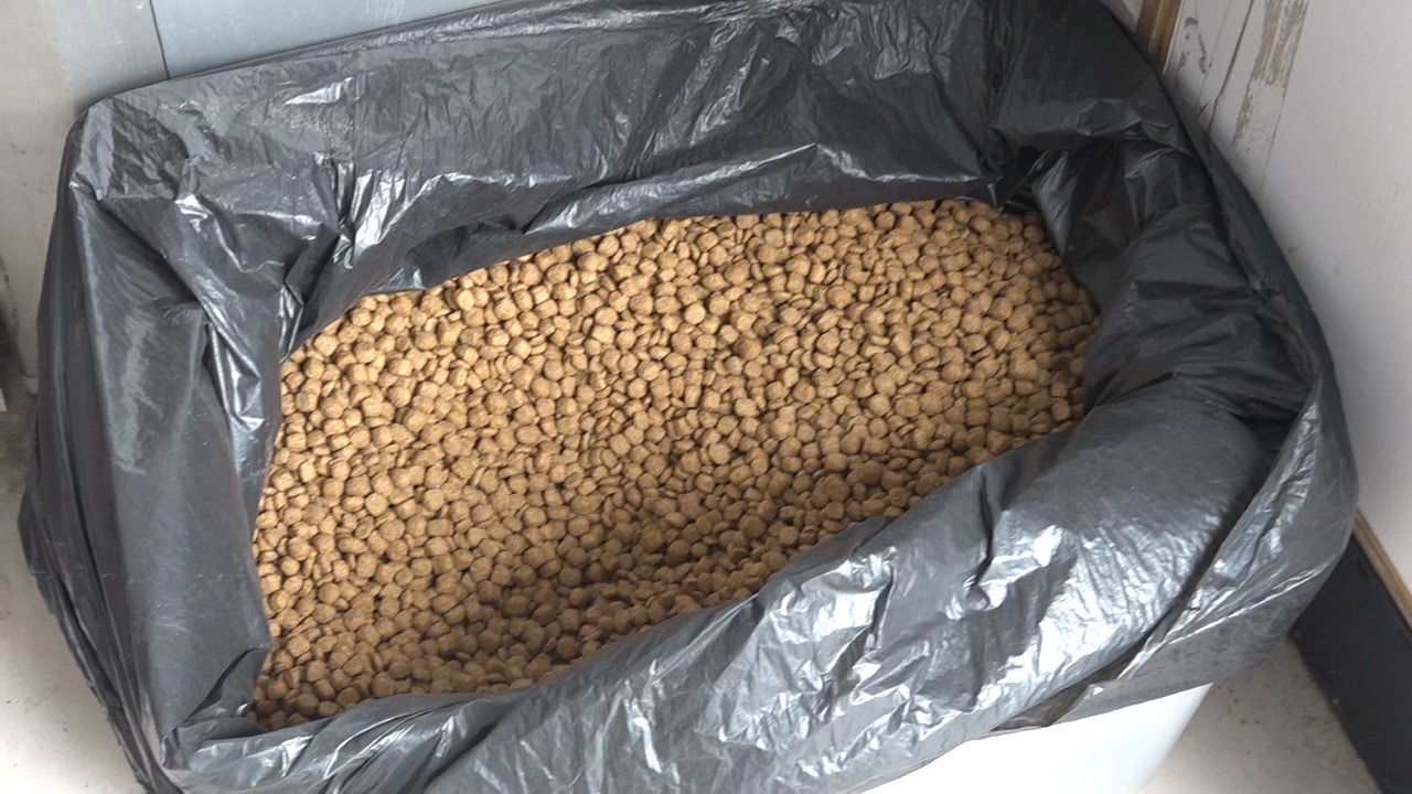 狗主友人又指一直都有買狗糧餵飼,認為待Dolly不俗,可惜牠卻非常反叛。(周景文攝) 狗主友人又指一直都有買狗糧餵飼,認為待Dolly不俗,可惜牠卻非常反叛。(周景文攝)