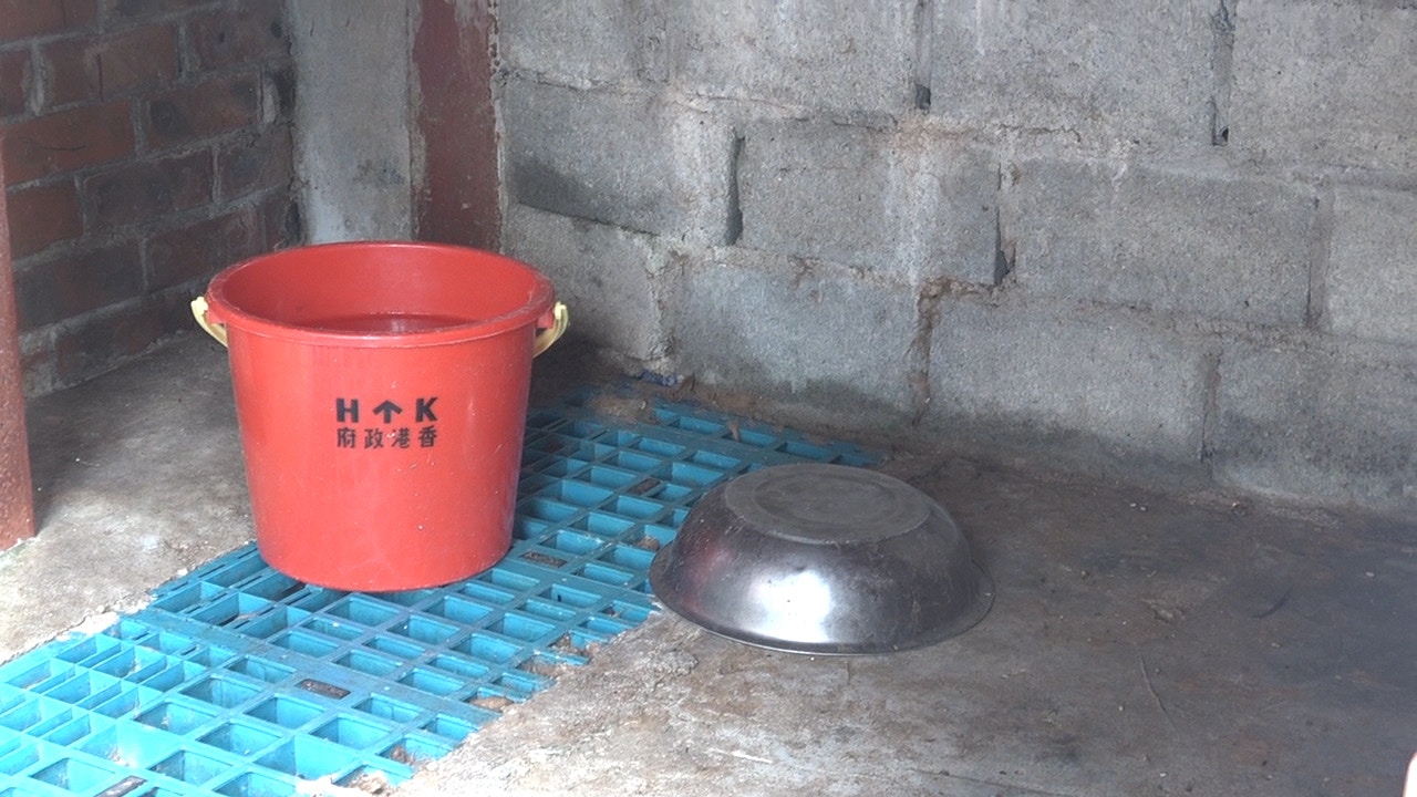 狗主友人自言一直都有買狗糧餵飼,認為待Dolly不俗,可惜牠卻非常反叛。(周景文攝) 狗主友人自言一直都有買狗糧餵飼,認為待Dolly不俗,可惜牠卻非常反叛。(周景文攝)