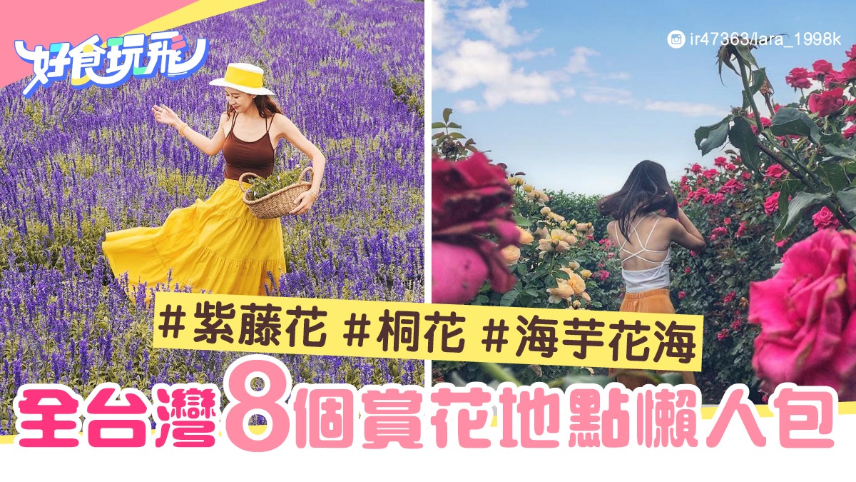 全台灣初夏賞花懶人包 精選8個至靚紫藤花 桐花 海芋花海 香港01 旅遊 全台灣初夏賞花懶人包 精選8個至靚紫藤花 桐花 海芋花海 香港01 旅遊