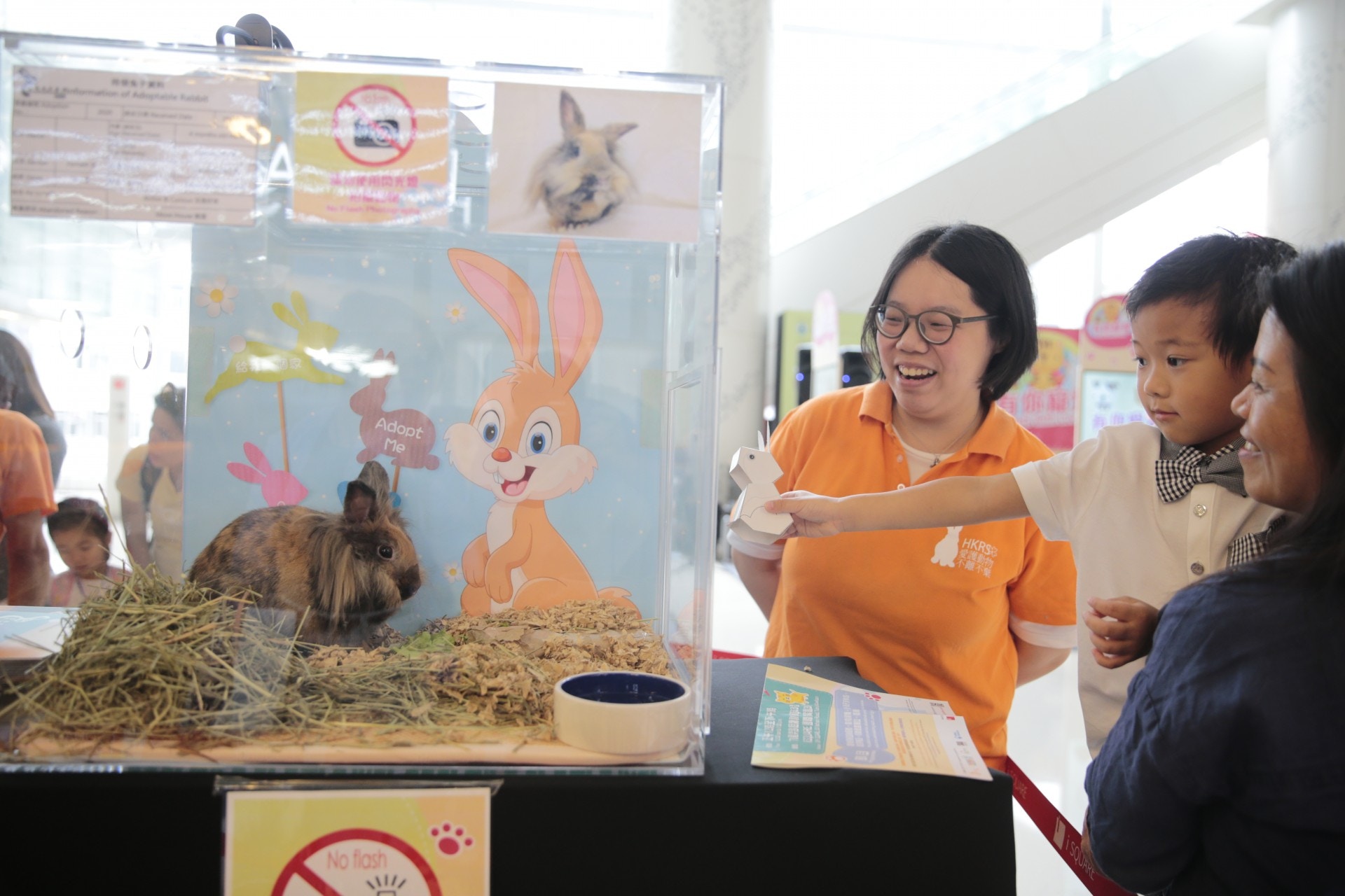 于小姐解釋,飼養兔子相比貓、狗需更細心,因兔子在野生界屬獵物,故擅長隱藏疾病。(梁鵬威攝) 于小姐解釋,飼養兔子相比貓、狗需更細心,因兔子在野生界屬獵物,故擅長隱藏疾病。(梁鵬威攝)