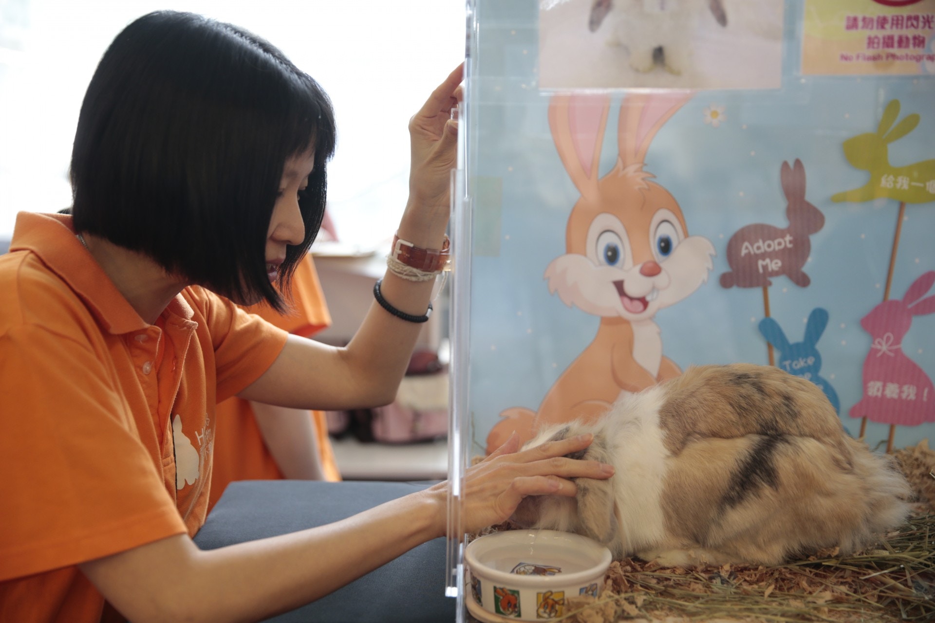 寵物領養日有待領養兔仔展示。(梁鵬威攝) 寵物領養日有待領養兔仔展示。(梁鵬威攝)