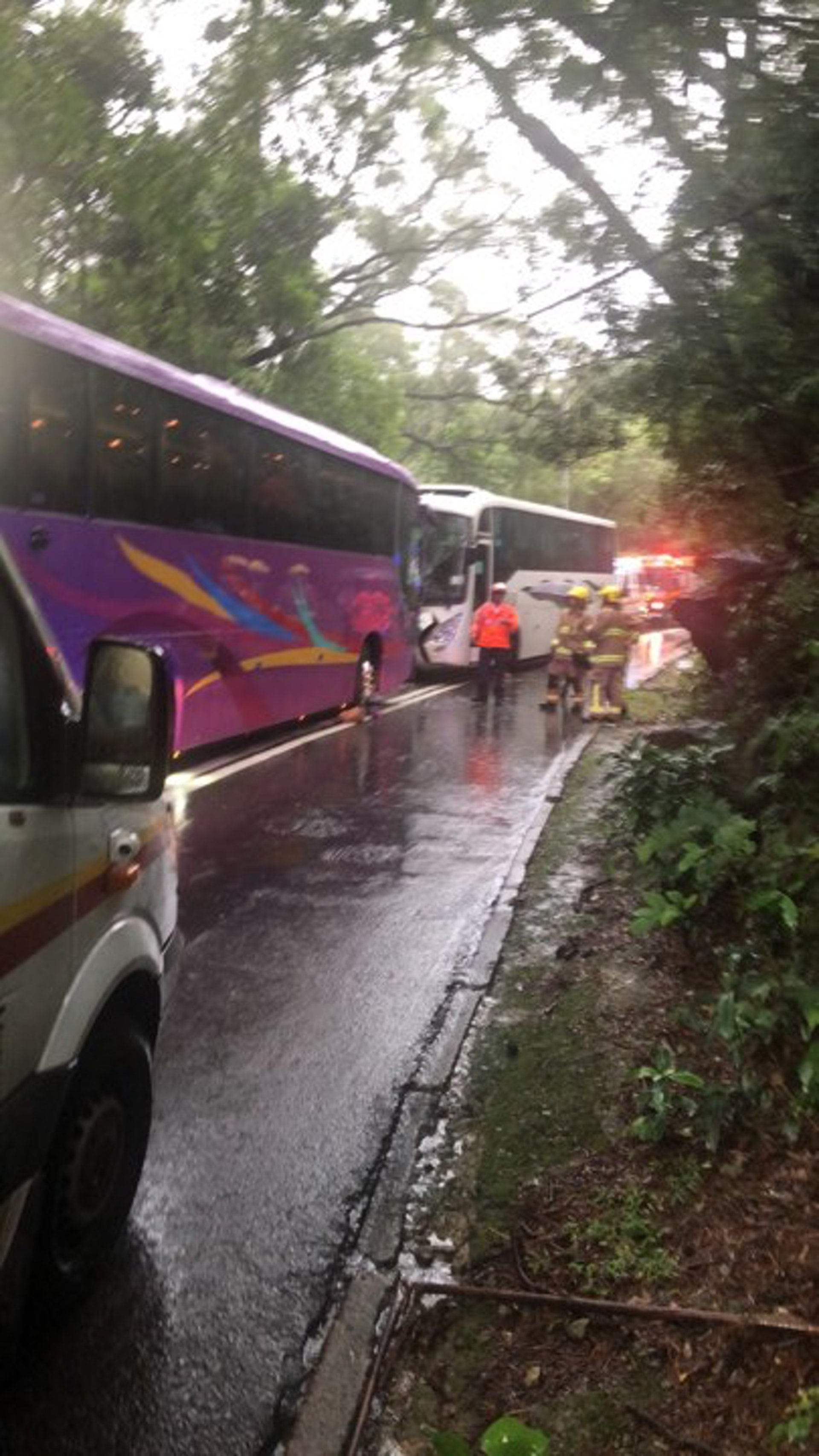 兩架輛遊巴迎頭相撞。(讀者張先生提供)