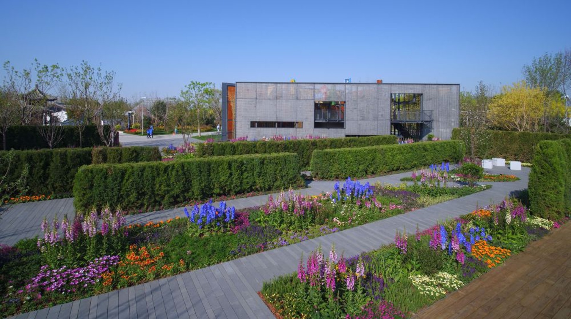 團隊特別採用與身高相若的檜柏作樹籬,把空間分隔,營造「秘密花園」的效果。(發展局圖片)