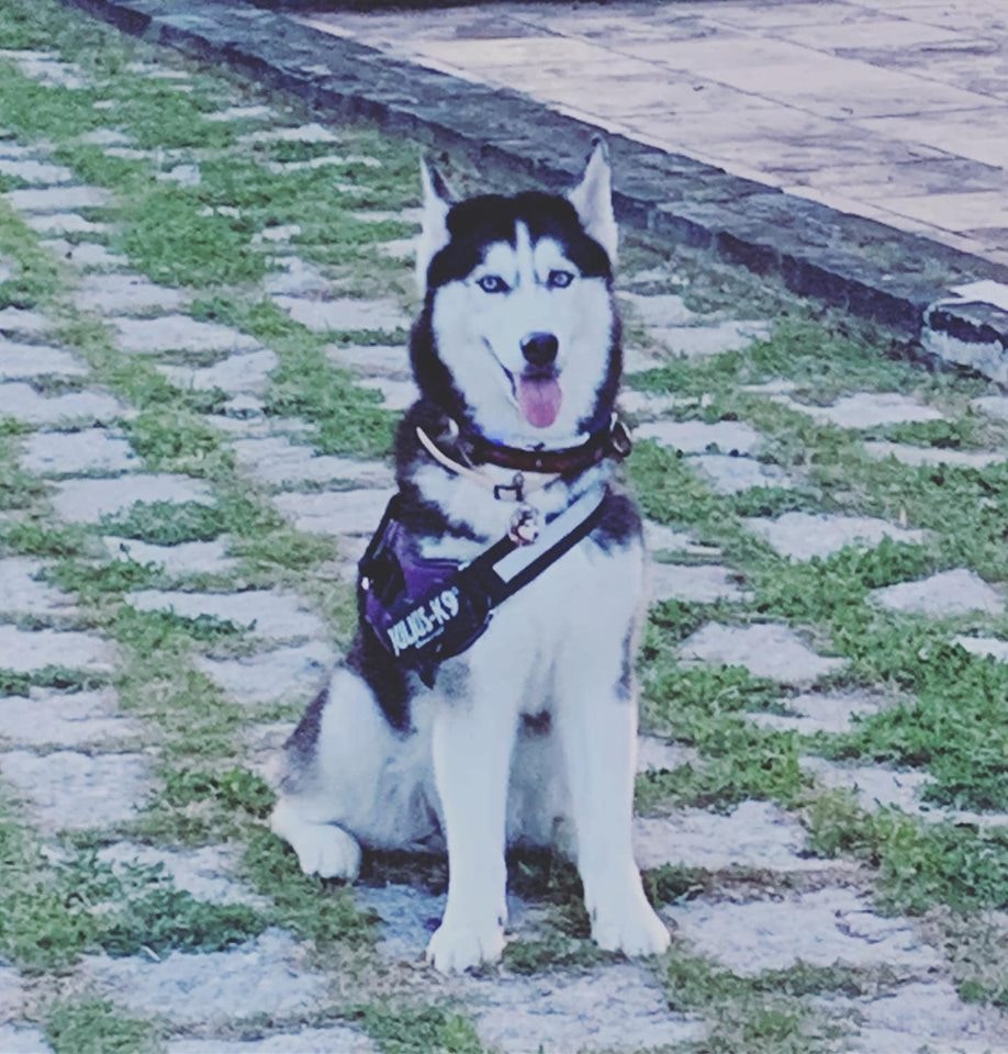 羅小姐最終決定不追討賠償。(Facebook@Alia Law) 羅小姐最終決定不追討賠償。(Facebook@Alia Law)