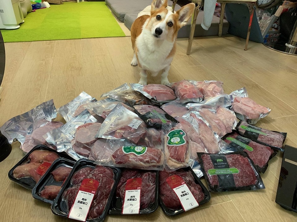 羅小姐自責未有及時間帶走Maru。(Facebook@Alia Law) 羅小姐自責未有及時間帶走Maru。(Facebook@Alia Law)