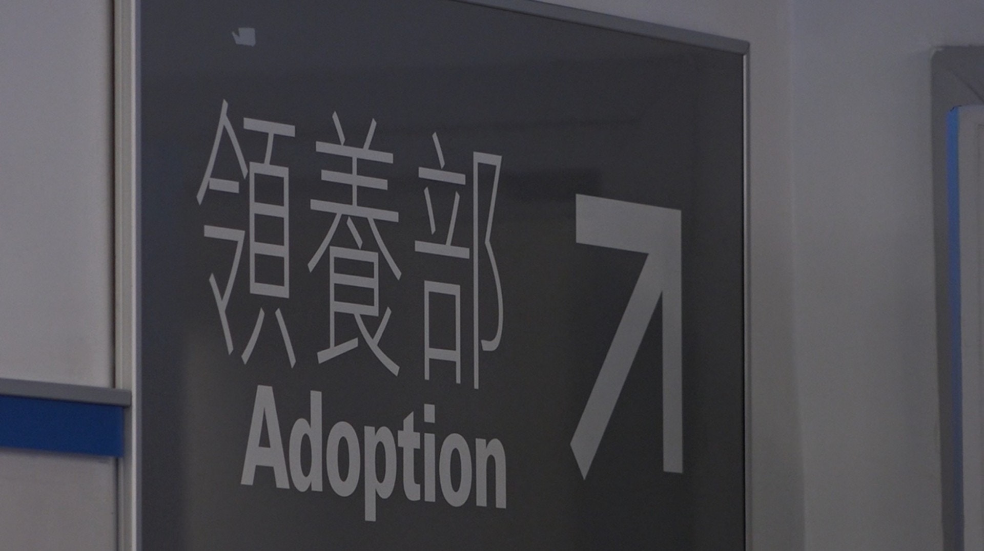 點擊影片,看西鐵避雨狗狗最新情況。(譚威權攝) 點擊影片,看西鐵避雨狗狗最新情況。(譚威權攝)