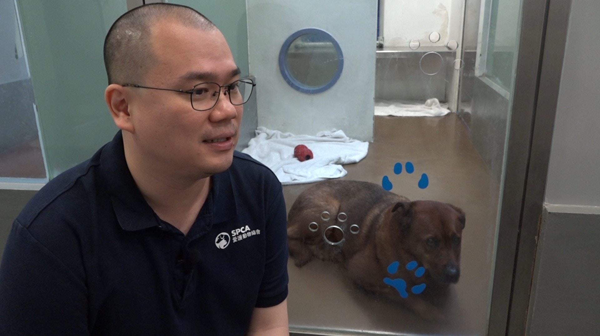 點擊影片,看西鐵避雨狗狗最新情況。(譚威權攝) 點擊影片,看西鐵避雨狗狗最新情況。(譚威權攝)