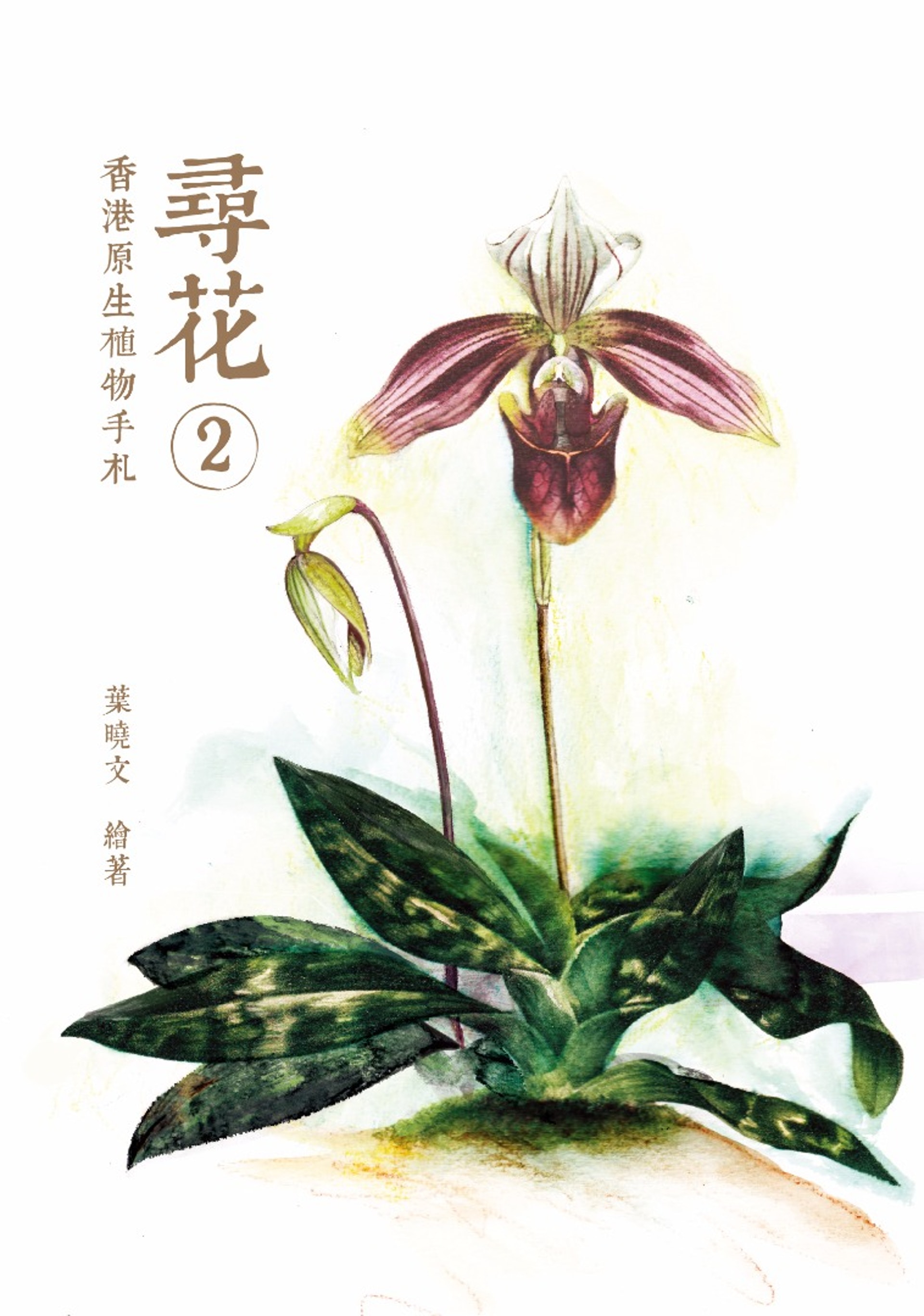 大潭尋 年花 下 綻放四部曲 香港01 社區專題 大潭尋 年花 下 綻放四部曲 香港01 社區專題