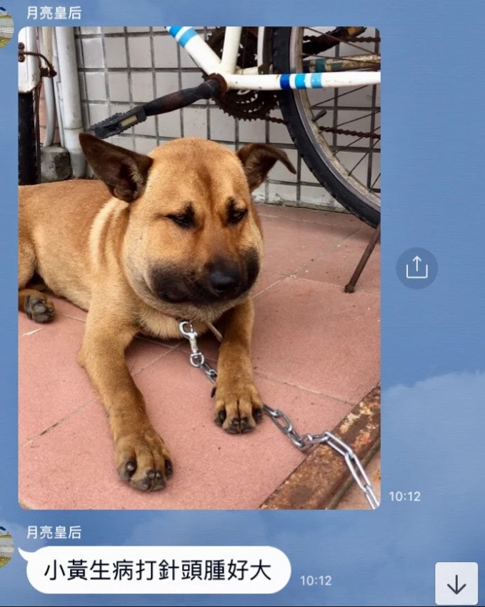 è©²åå°ç£ç¶²æ°åäº«åª½åª½å³ä¾çä¸å¼µç§çï¼æä»å®¶éå£çå°é»çççï¼æéå¾èé½è«èµ·ä¾äºãï¼Dcardåçï¼