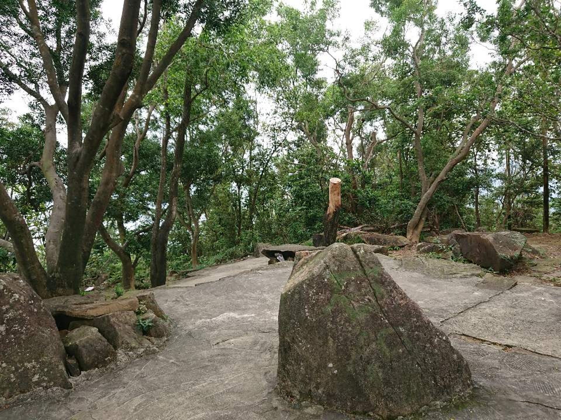 超強颱風山竹的影響力仍在。(周立賢攝)
