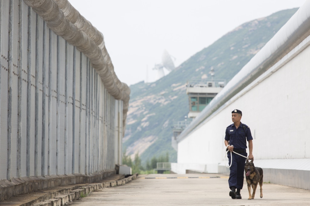 懲教署共有67隻工作犬。(資料圖片 / 江智騫攝) 懲教署共有67隻工作犬。(資料圖片 / 江智騫攝)