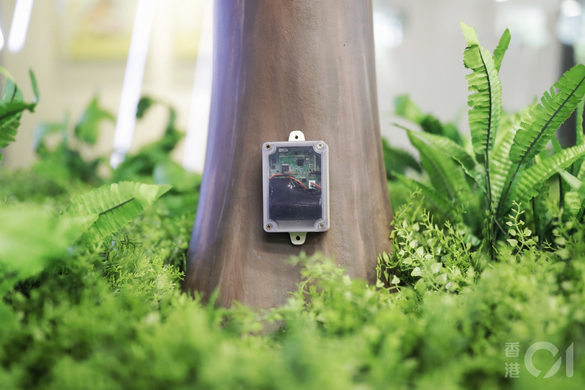 樹木搖動監測控制台展示。「智慧城市樹木管理計劃」中每棵樹將安置一個感應器,當感應器監測到樹幹底部的傾斜角度超過臨界角度時,系統會實時向指定人員發送提示信號。(余俊亮)