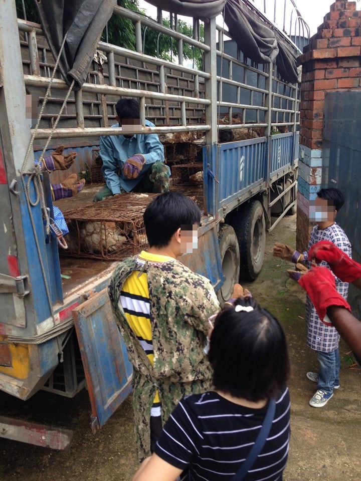 救援搬運的情況。(二元提供) 救援搬運的情況。(二元提供)