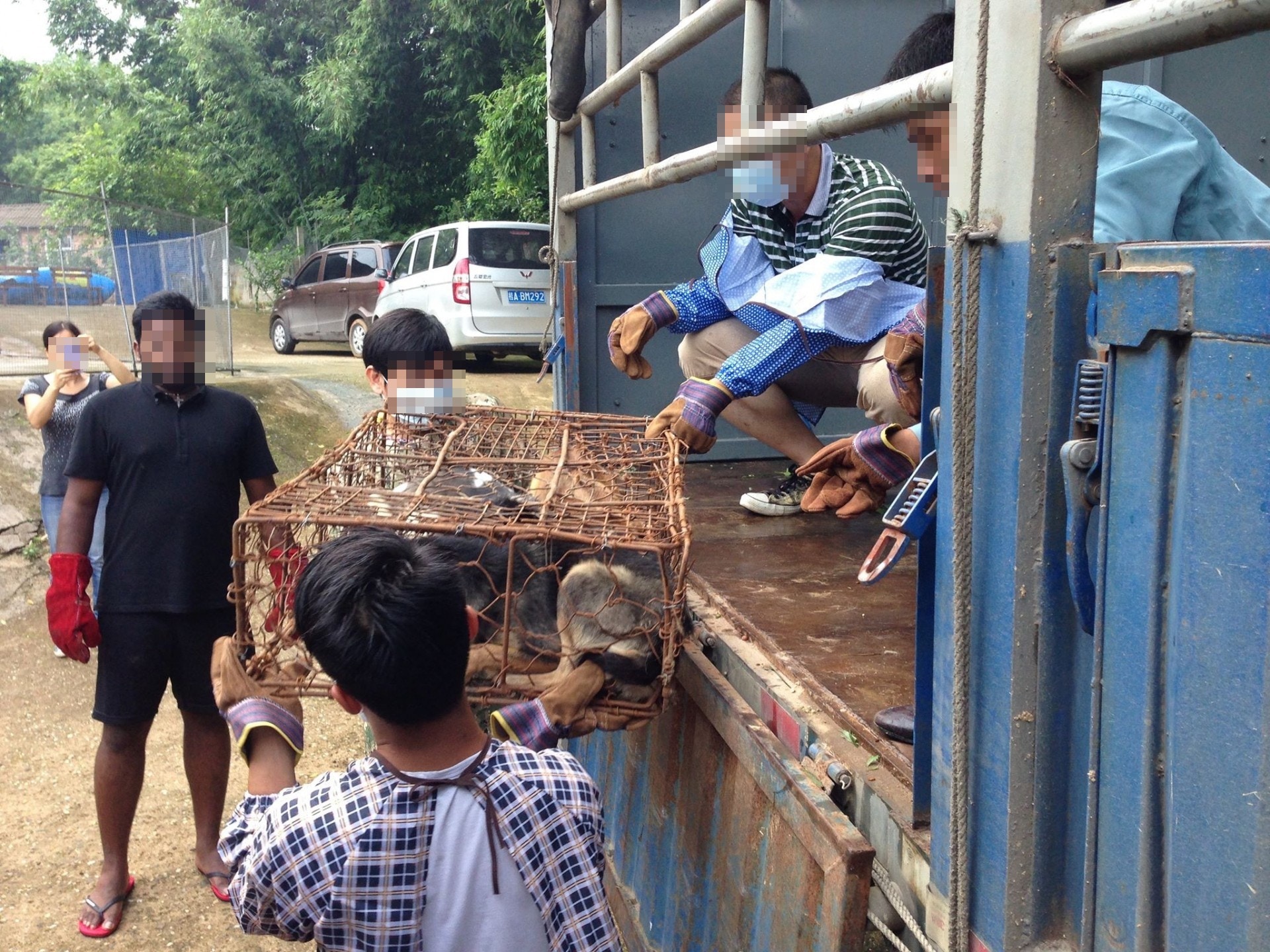 救援搬運的情況。(二元提供) 救援搬運的情況。(二元提供)