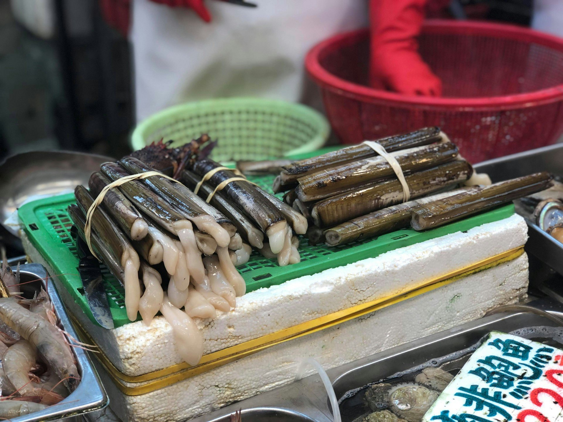 街市見到的蟶子都是這樣用橡筋綑住,從外殼中突出來的白色部分便是「吸水管」。(鄧穎琪攝) 街市見到的蟶子都是這樣用橡筋綑住,從外殼中突出來的白色部分便是「吸水管」。(鄧穎琪攝)