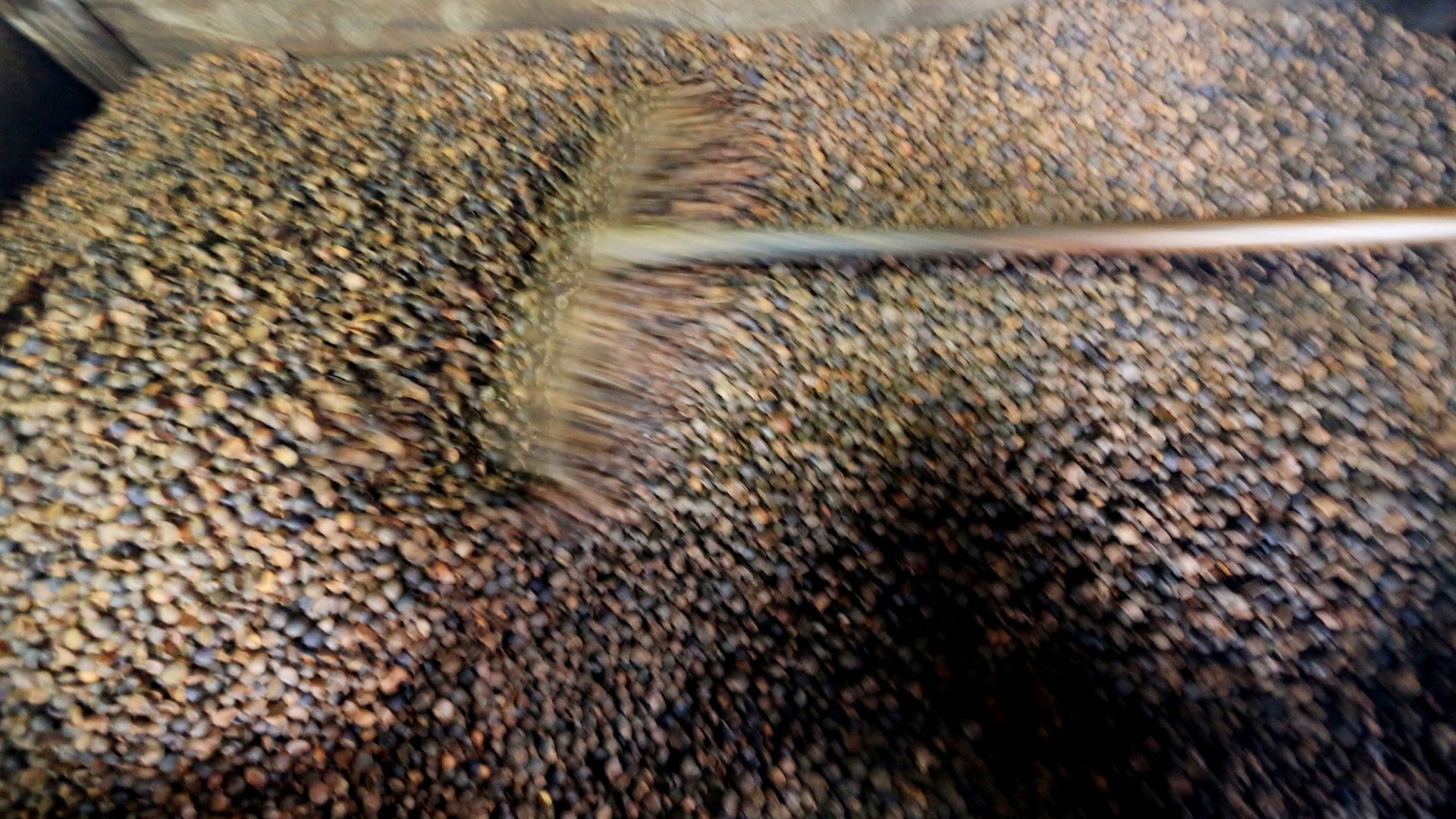 【中美貿易戰】商務部﹕今年首4個月 從美輸入大豆量按年跌70% 【中美貿易戰】商務部﹕今年首4個月 從美輸入大豆量按年跌70%
