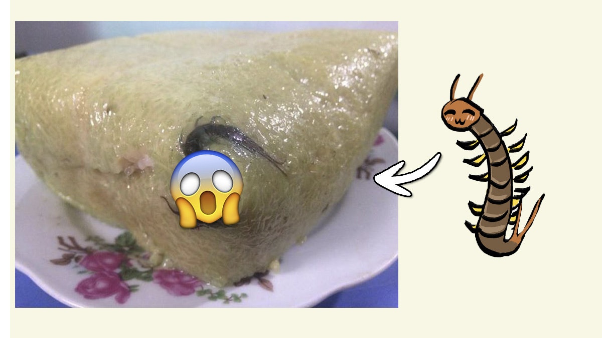 【端午節】蜈蚣糭照再瘋傳 原條蒸熟超驚嚇 網民:以毒攻毒? 【端午節】蜈蚣糭照再瘋傳 原條蒸熟超驚嚇 網民:以毒攻毒?