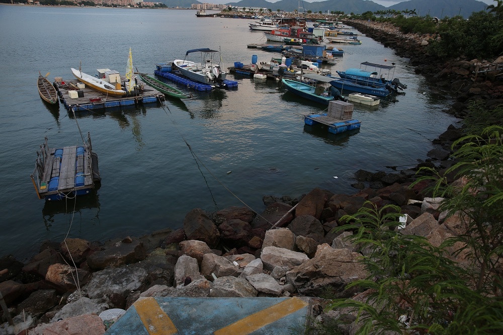 (王譯揚攝) (王譯揚攝)