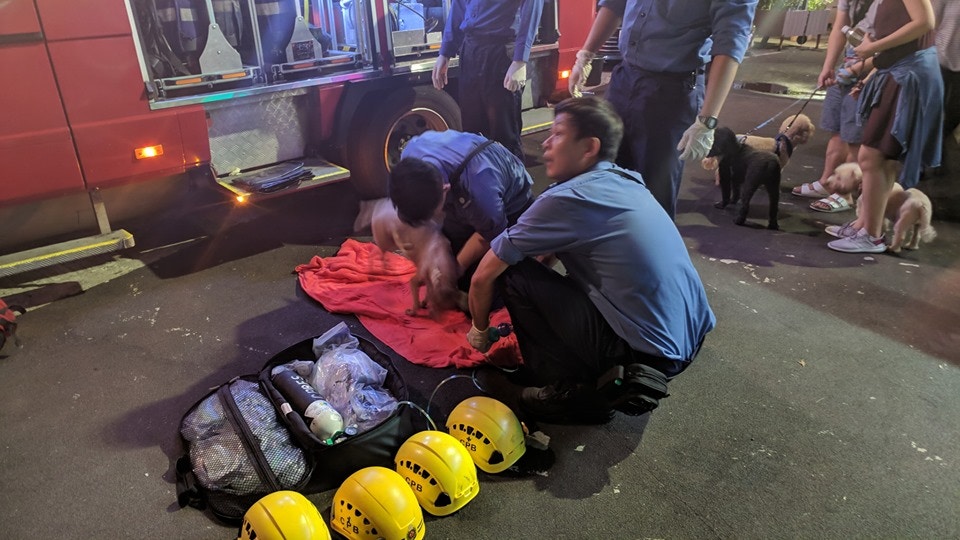 (讀者Toby提供相片) (讀者Toby提供相片)