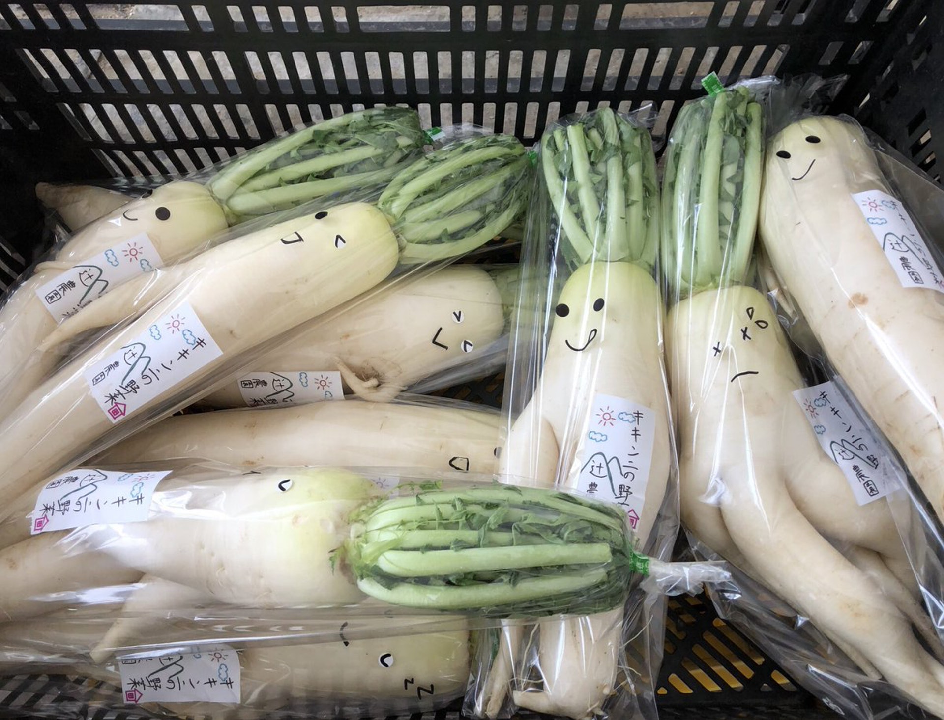 蘿蔔形狀太醜賣唔出 日農幫大根加emoji 一招變可愛唔駛扔 香港01 熱爆話題