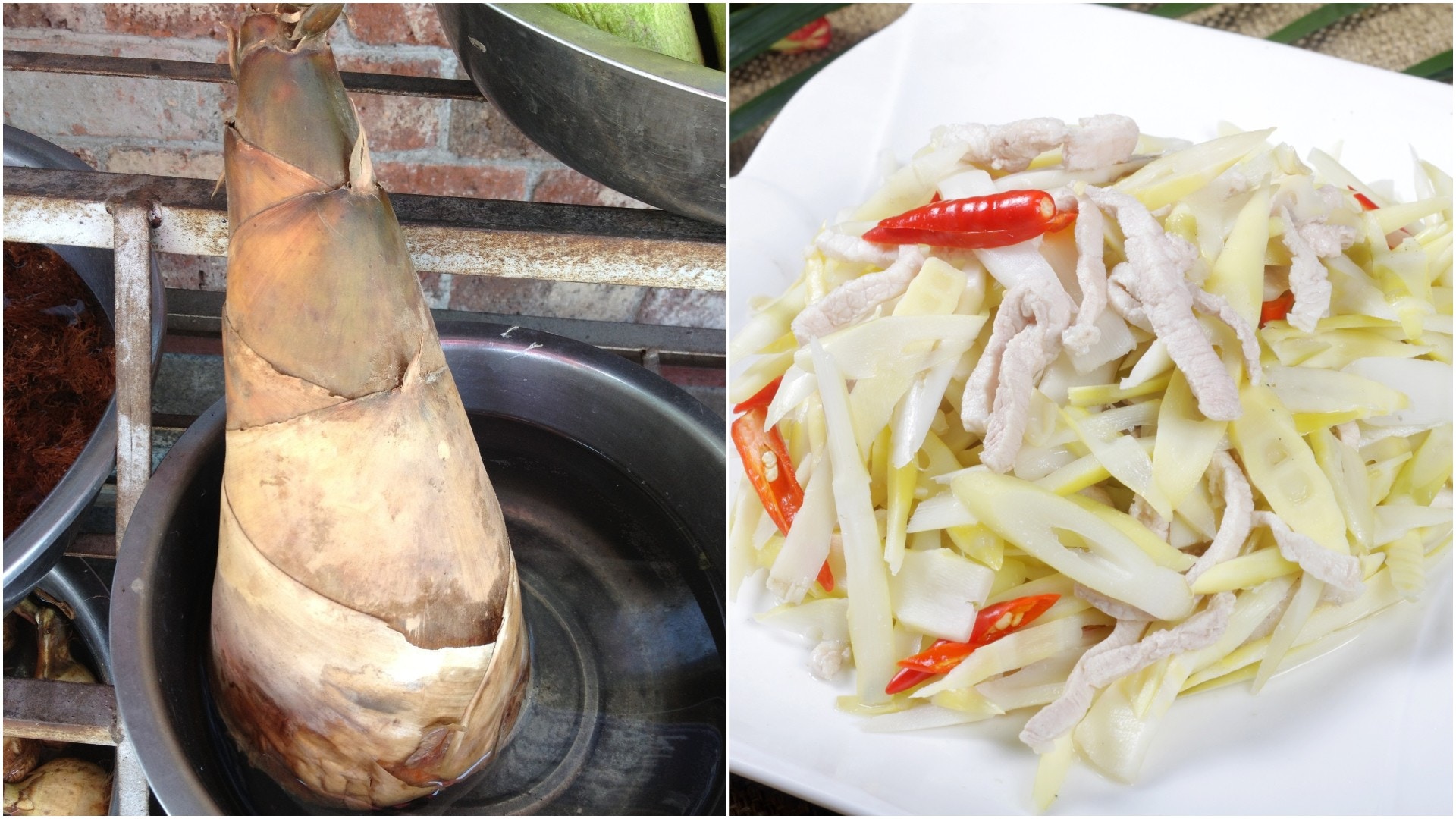 【食物安全】竹筍未煮熟食咗會中毒？教你揀筍秘訣去苦味毒性來源