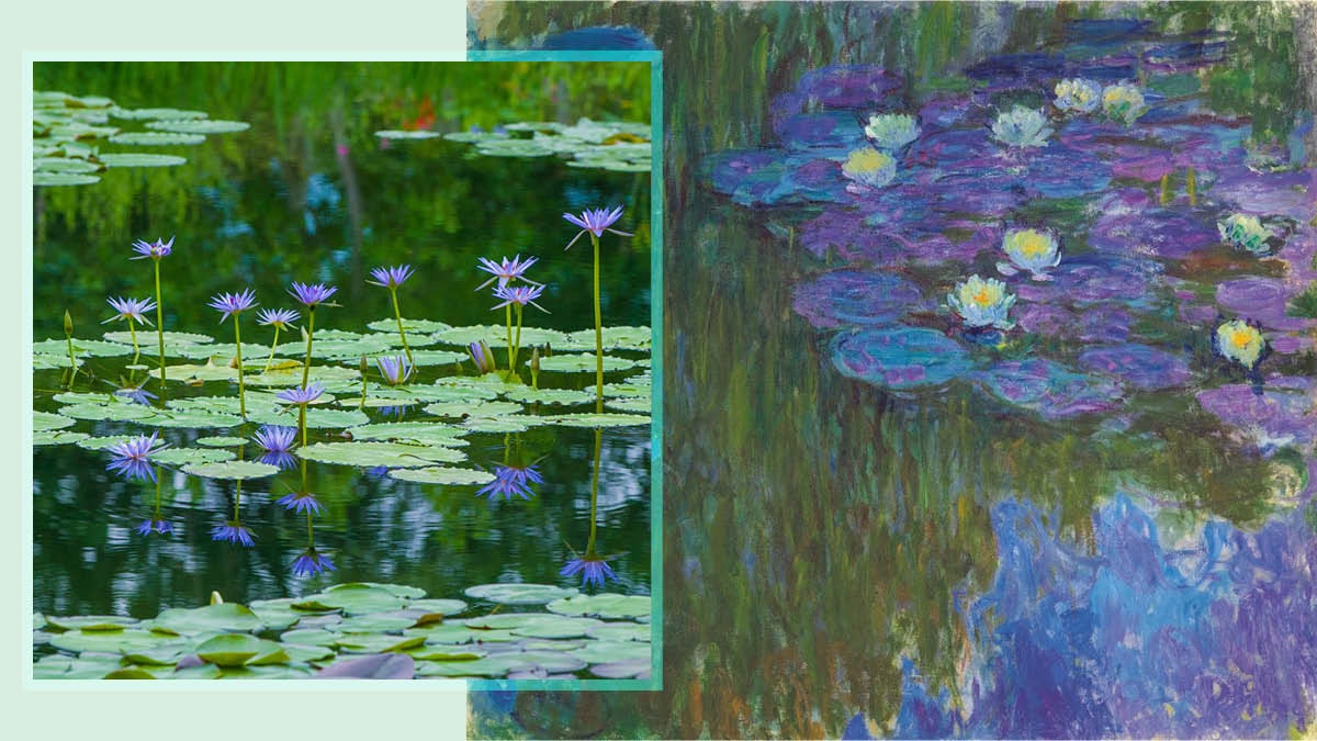 【藝術】日本北川村莫奈花園 神還原印象派名畫《睡蓮》河畔美景 【藝術】日本北川村莫奈花園 神還原印象派名畫《睡蓮》河畔美景
