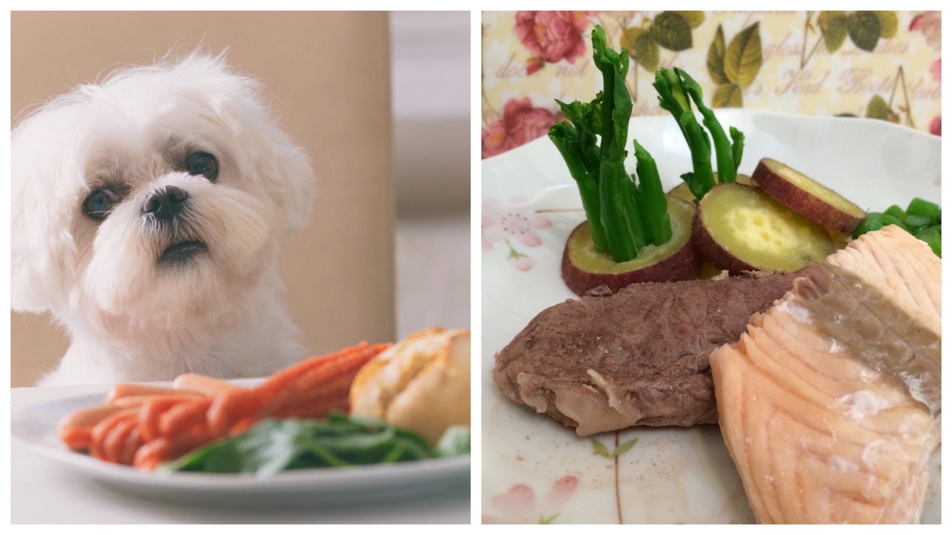 【狗鮮食食譜】獸醫推薦8款簡易鮮食食譜　讓狗狗吃得有營