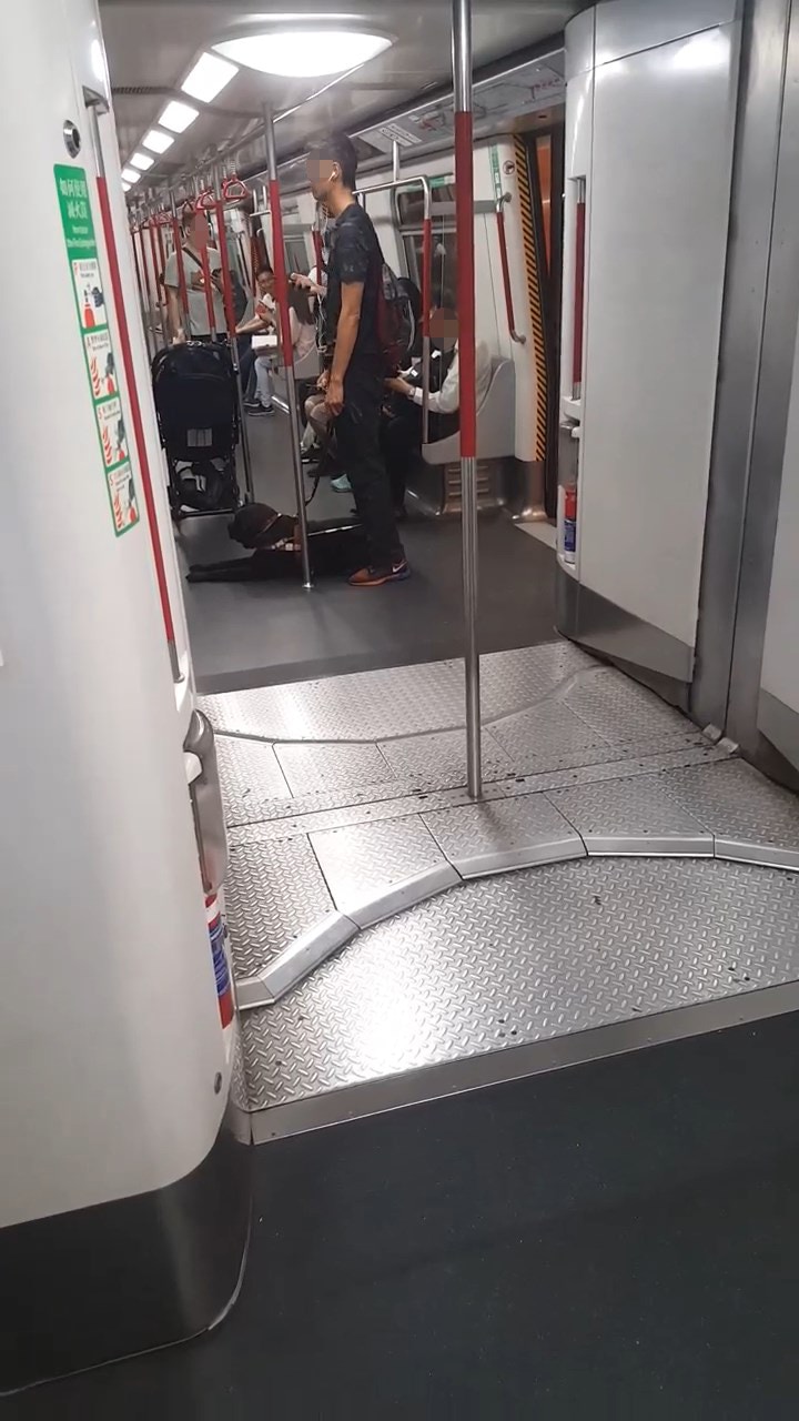 樓主詢問後,男士答稱他並非導盲犬訓練員,但又無提出自己是視障人士,樓主堅信他因「貪方便」而在繁忙時段帶同「愛犬」乘搭港鐵。(fb群組「香港花生友」片段截圖) 樓主詢問後,男士答稱他並非導盲犬訓練員,但又無提出自己是視障人士,樓主堅信他因「貪方便」而在繁忙時段帶同「愛犬」乘搭港鐵。(fb群組「香港花生友」片段截圖)