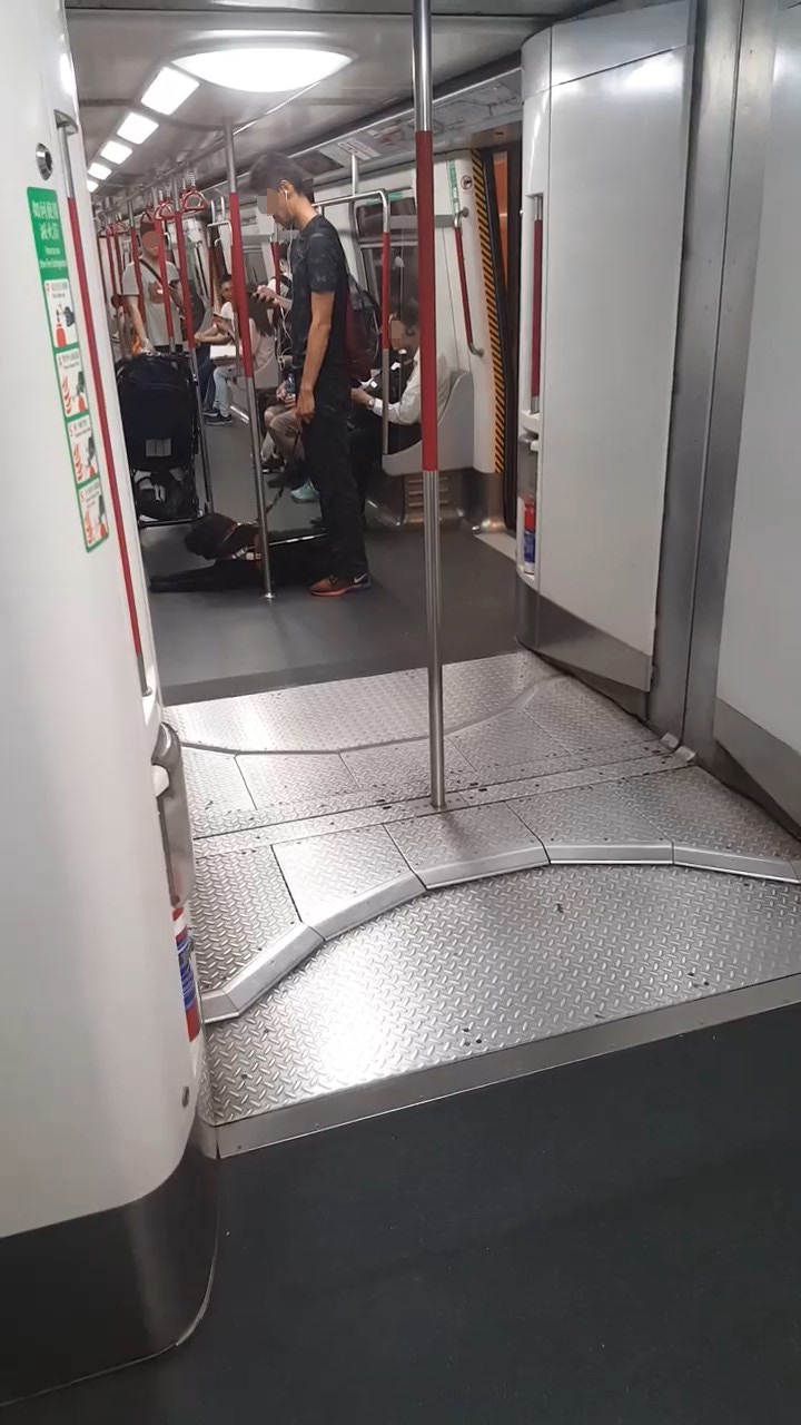 樓主詢問後,男士答稱他並非導盲犬訓練員,但又無提出自己是視障人士,樓主堅信他因「貪方便」而在繁忙時段帶同「愛犬」乘搭港鐵。(fb群組「香港花生友」片段截圖) 樓主詢問後,男士答稱他並非導盲犬訓練員,但又無提出自己是視障人士,樓主堅信他因「貪方便」而在繁忙時段帶同「愛犬」乘搭港鐵。(fb群組「香港花生友」片段截圖)