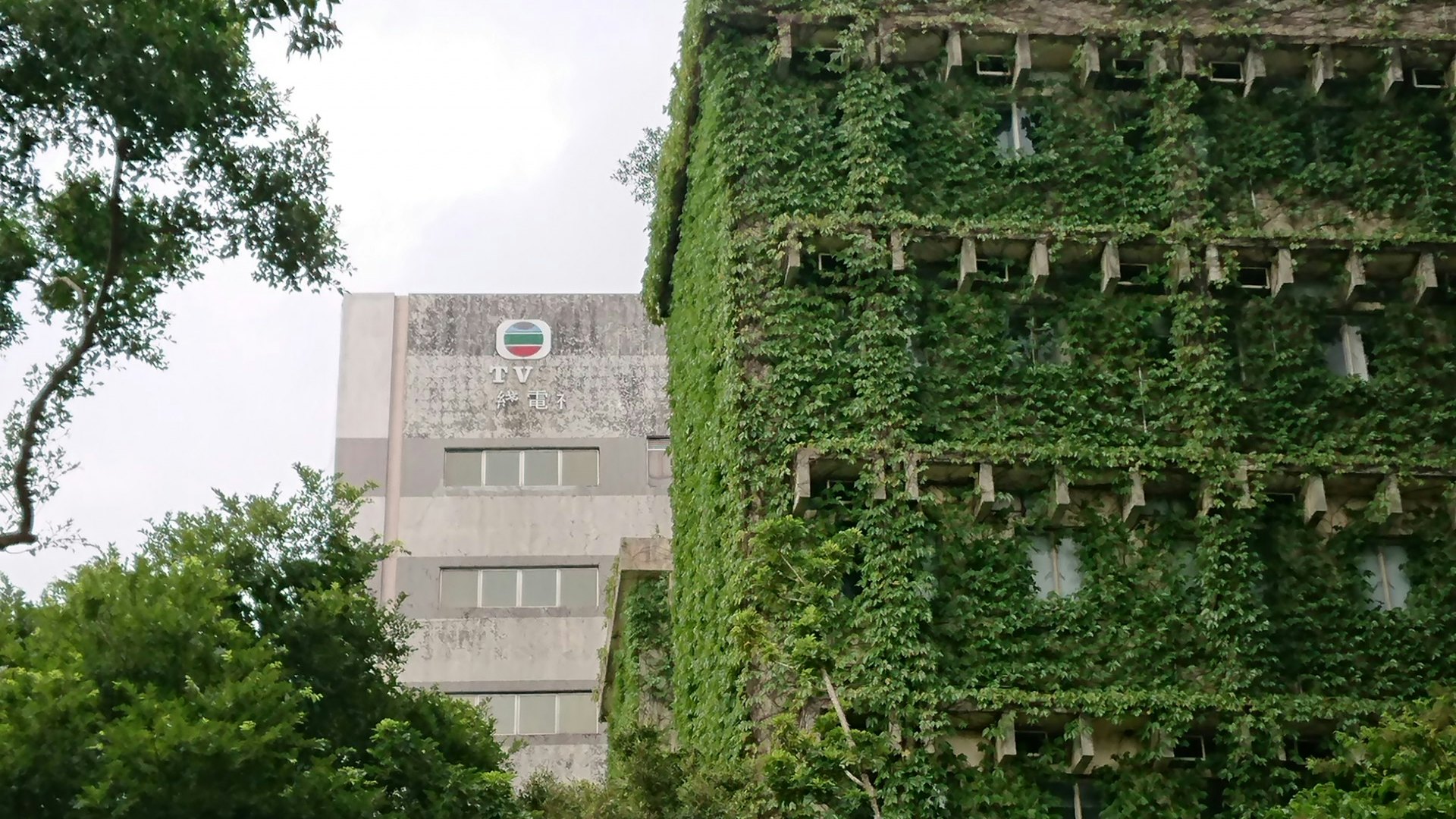 【將軍澳行山路線】寶琳快閃抵科技大學 邵氏片場2號宿舍變綠屋 【將軍澳行山路線】寶琳快閃抵科技大學 邵氏片場2號宿舍變綠屋