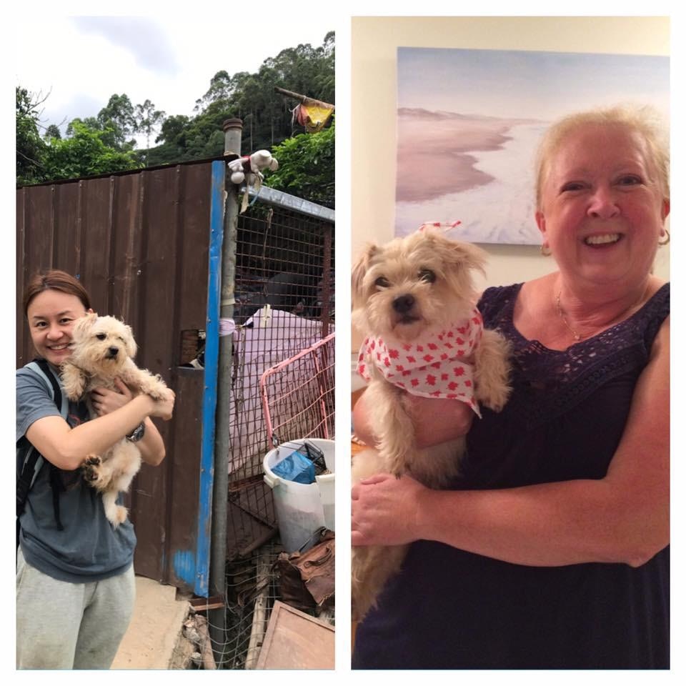 每當收到領養者傳來的最新照片,Natalie也會打從心底感到高興。(受訪者提供) 每當收到領養者傳來的最新照片,Natalie也會打從心底感到高興。(受訪者提供)