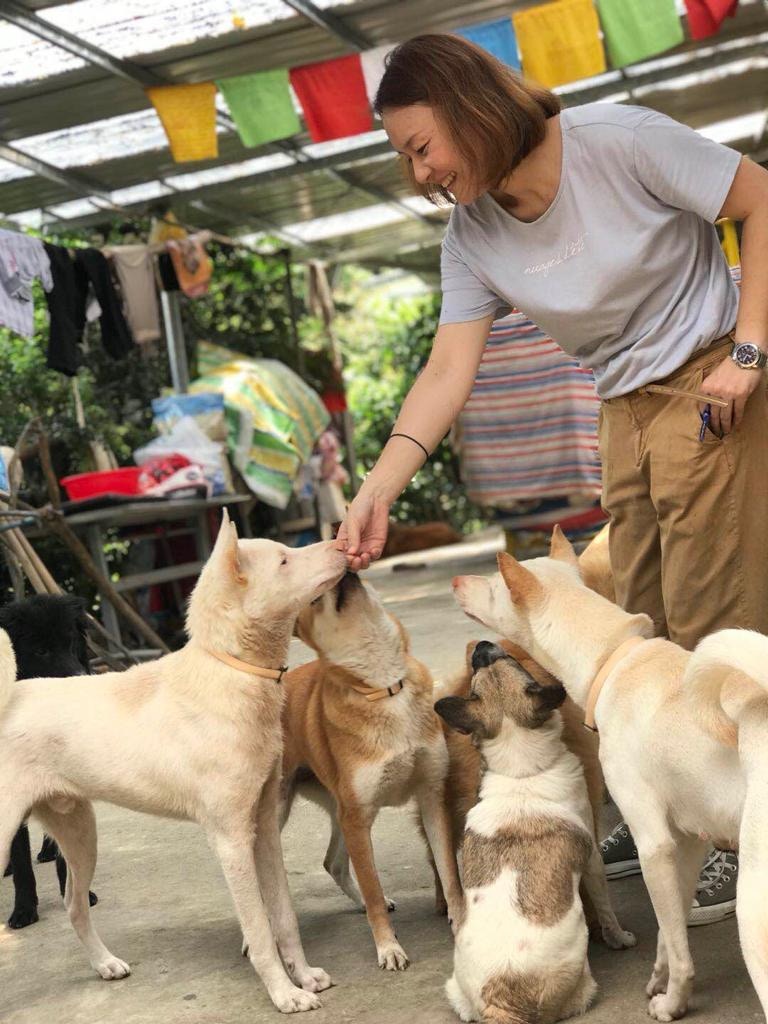 全賴Natalie及其他義工妥善地照顧狗狗,令牠們能夠順利地出境。(受訪者提供) 全賴Natalie及其他義工妥善地照顧狗狗,令牠們能夠順利地出境。(受訪者提供)