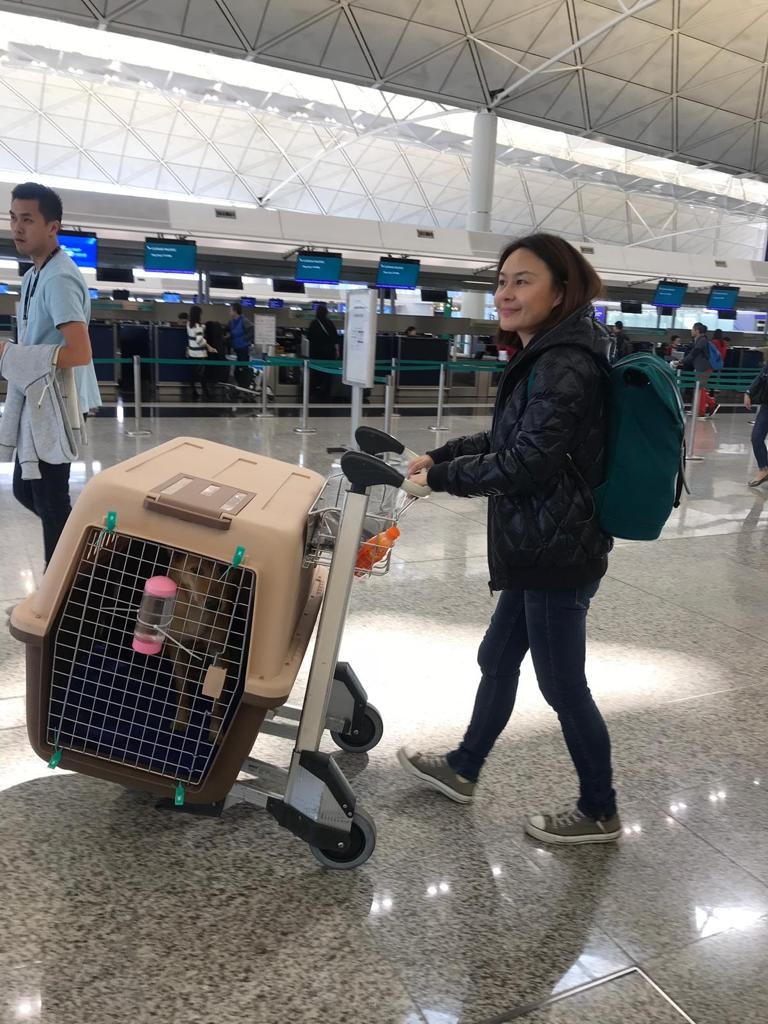 為獲救的狗狗尋找外國領養者,也是Natalie的主要任務之一。(受訪者提供) 為獲救的狗狗尋找外國領養者,也是Natalie的主要任務之一。(受訪者提供)