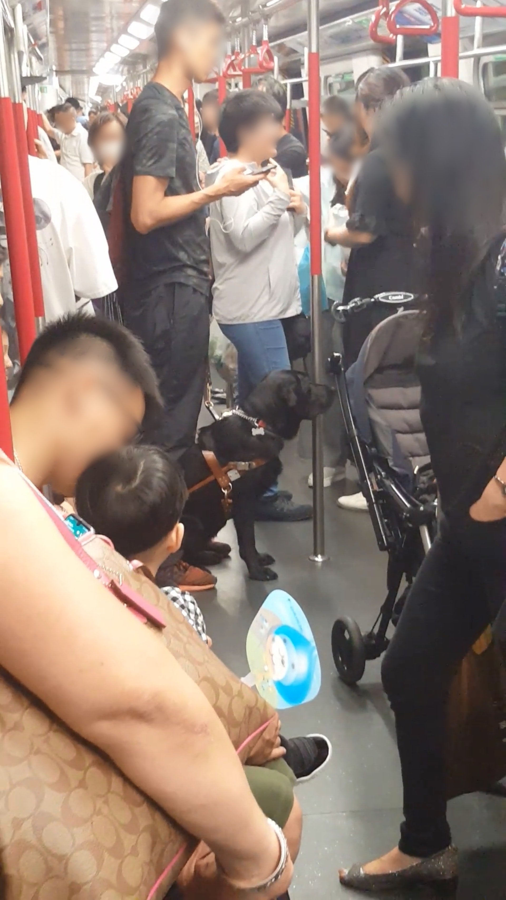 由於男子多次使用智能電話,網民認為他是非「失明人士」。(影片截圖) 由於男子多次使用智能電話,網民認為他是非「失明人士」。(影片截圖)