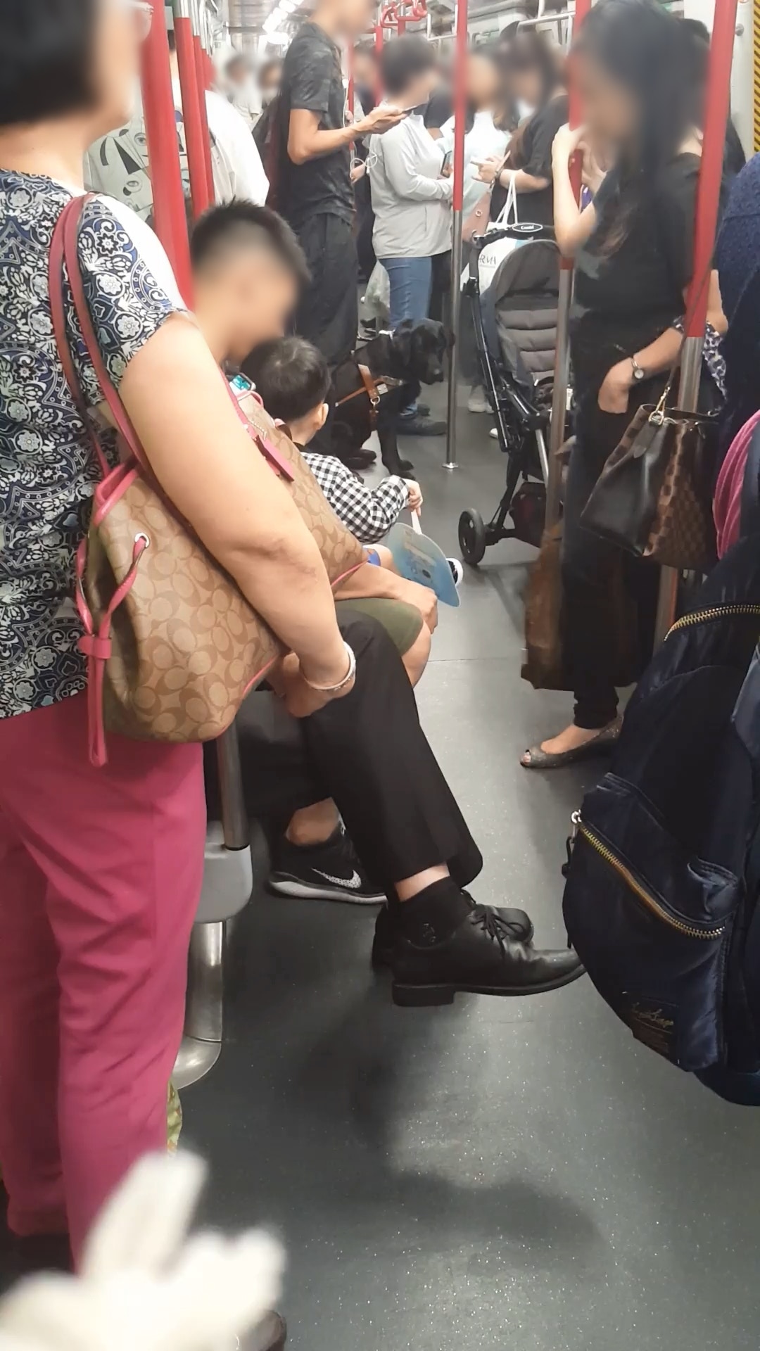 網民在車廂裡看到遠處有男子帶同「比特犬」進出車廂。(影片截圖) 網民在車廂裡看到遠處有男子帶同「比特犬」進出車廂。(影片截圖)