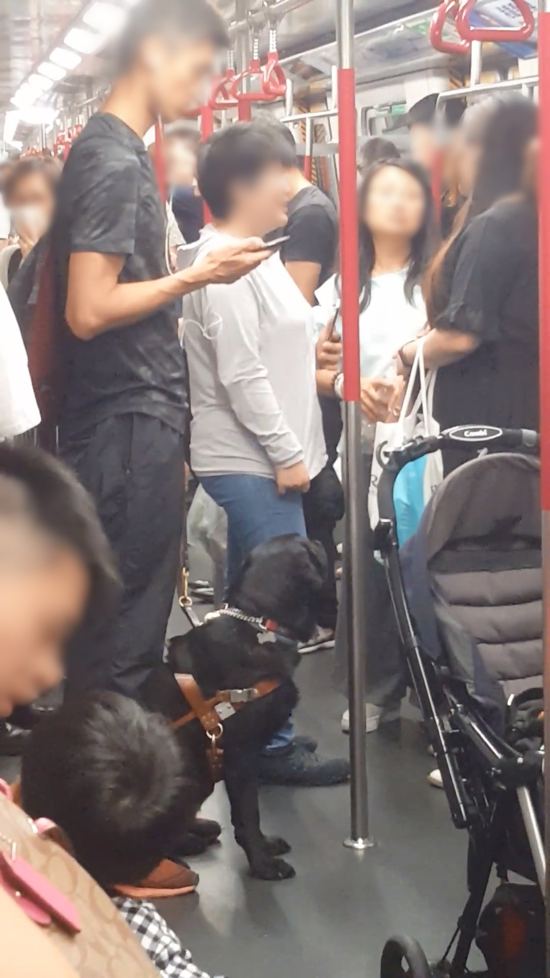 片中男子戴上耳機。(影片截圖) 片中男子戴上耳機。(影片截圖)